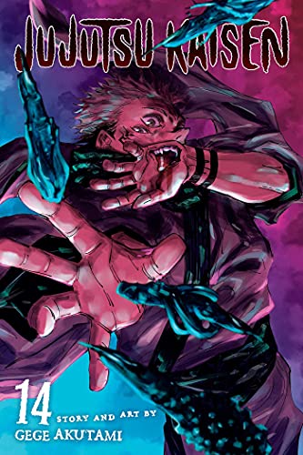 Jujutsu Kaisen, Vol. 14 Book: The Shibuya Incident--Right And Wrong--: Volume 14 (Paperback)