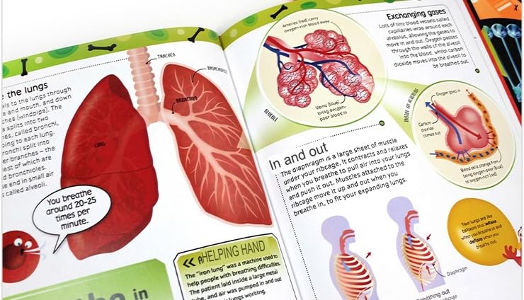 DK Seriously Brilliant Biology 3 books set by Steve Mould (The DNA Book, The Bacteria Book, The Body Book) | Hardback