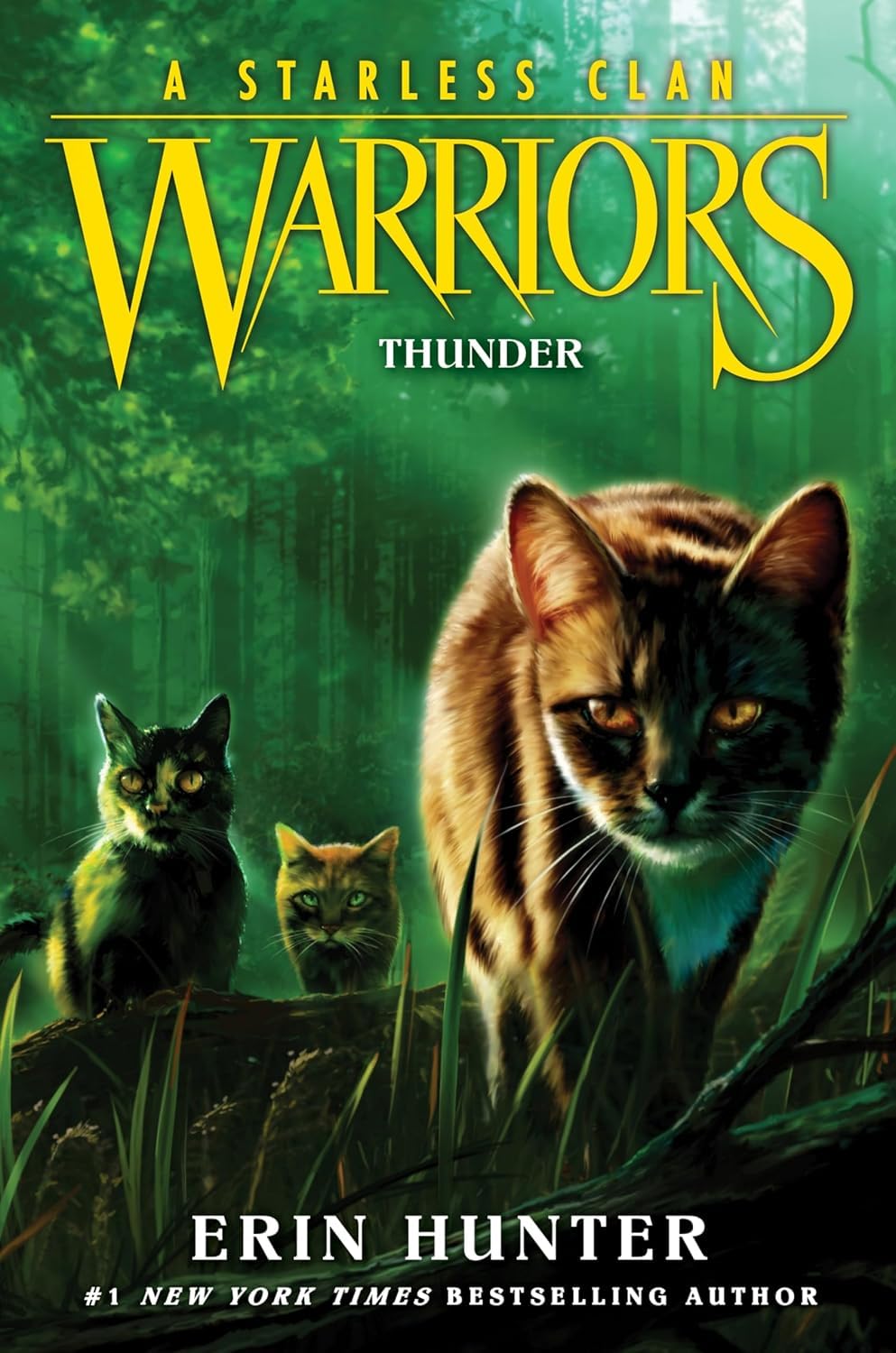 Warrior Cats Series 8 – A Starless Clan 6 Books Collection Set by Erin Hunter | River, Sky, Shadow, Thunder, Wind & Star | Children's Fantasy Adventure Series