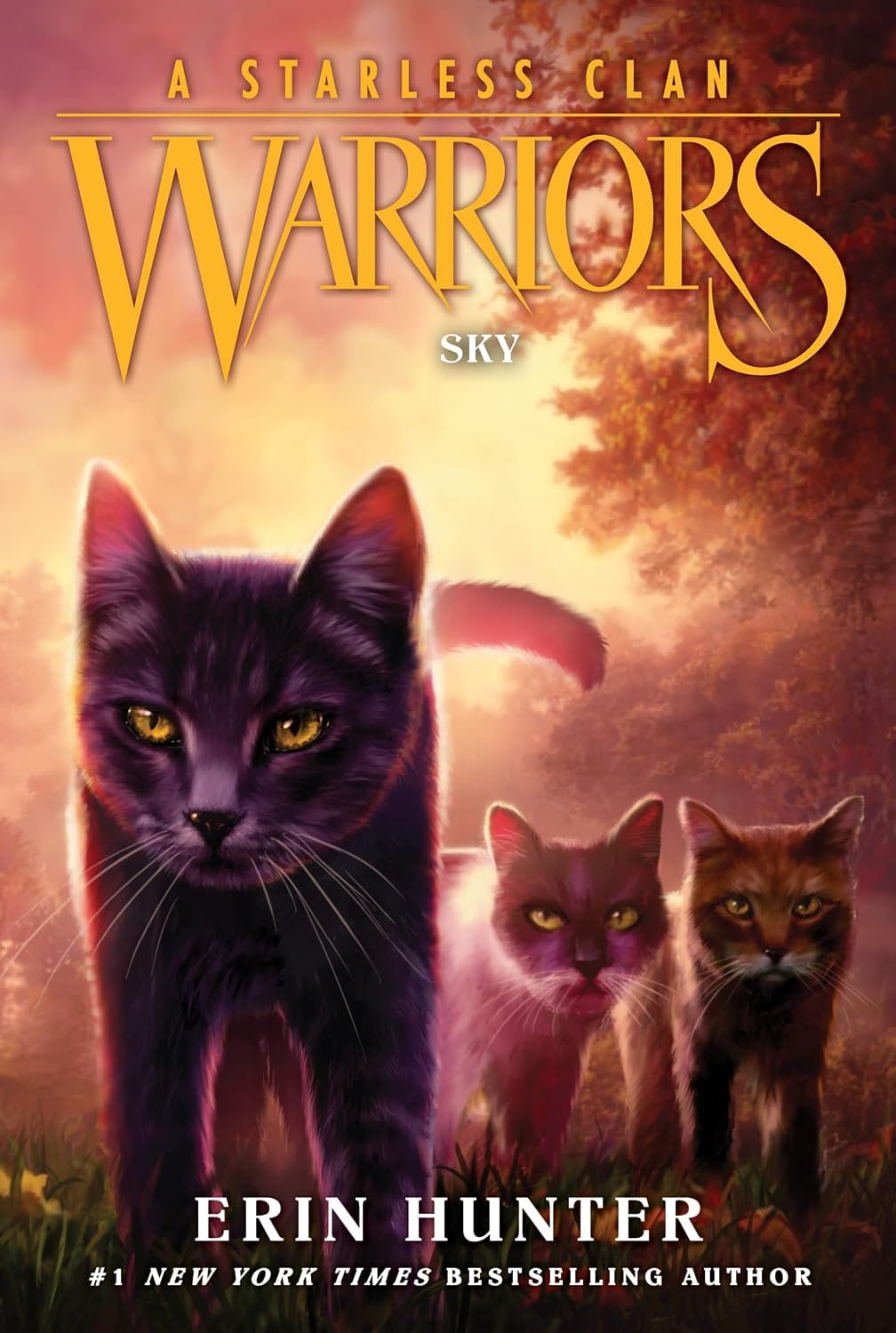 Warrior Cats Series 8 – A Starless Clan 6 Books Collection Set by Erin Hunter | River, Sky, Shadow, Thunder, Wind & Star | Children's Fantasy Adventure Series