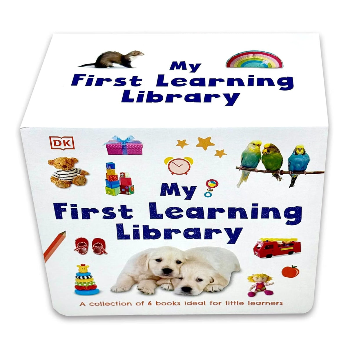 DK My First Learning Library 6 Book Box Set – My First Body, Colors, Numbers, Pets, Shapes & Words | Board Books for Toddlers