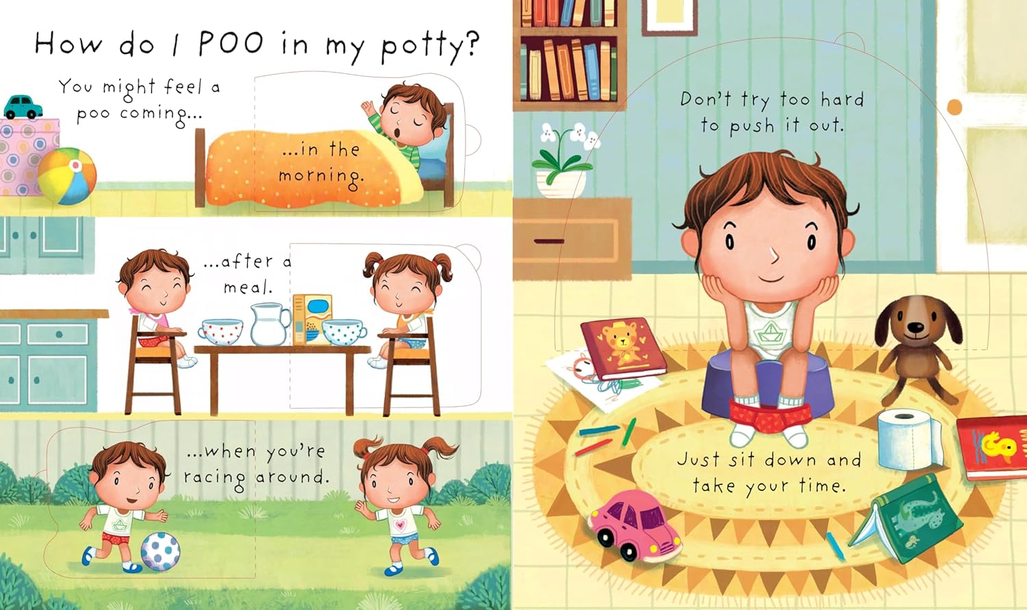 Usborne Lift-the-flap Why Do We Need A Potty? by Katie Daynes (Very First Lift-the-Flap Questions and Answers) | Board Book