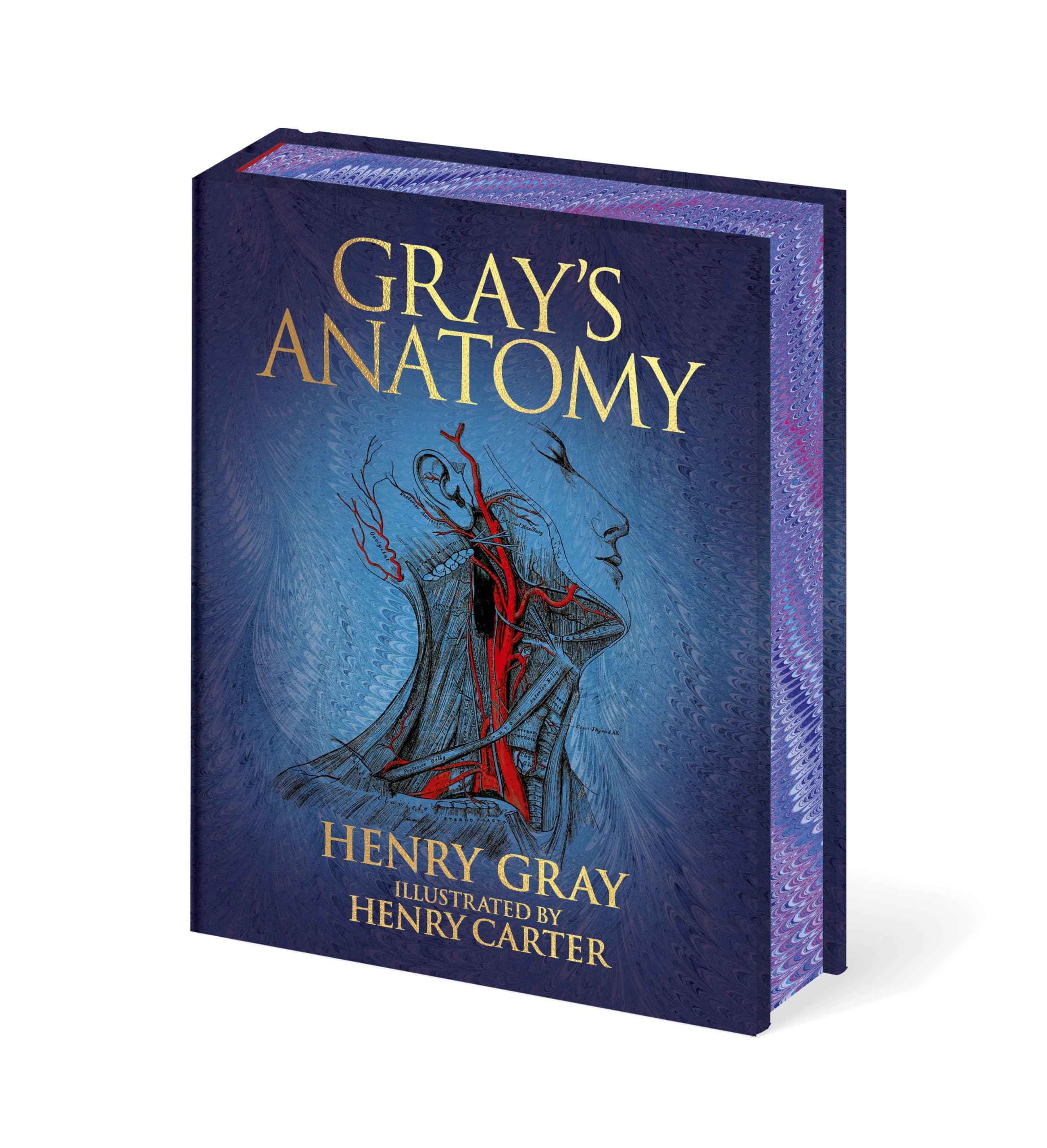 Gray's Anatomy Book (Arcturus Epic Classics) Illustrated by Henry Gray