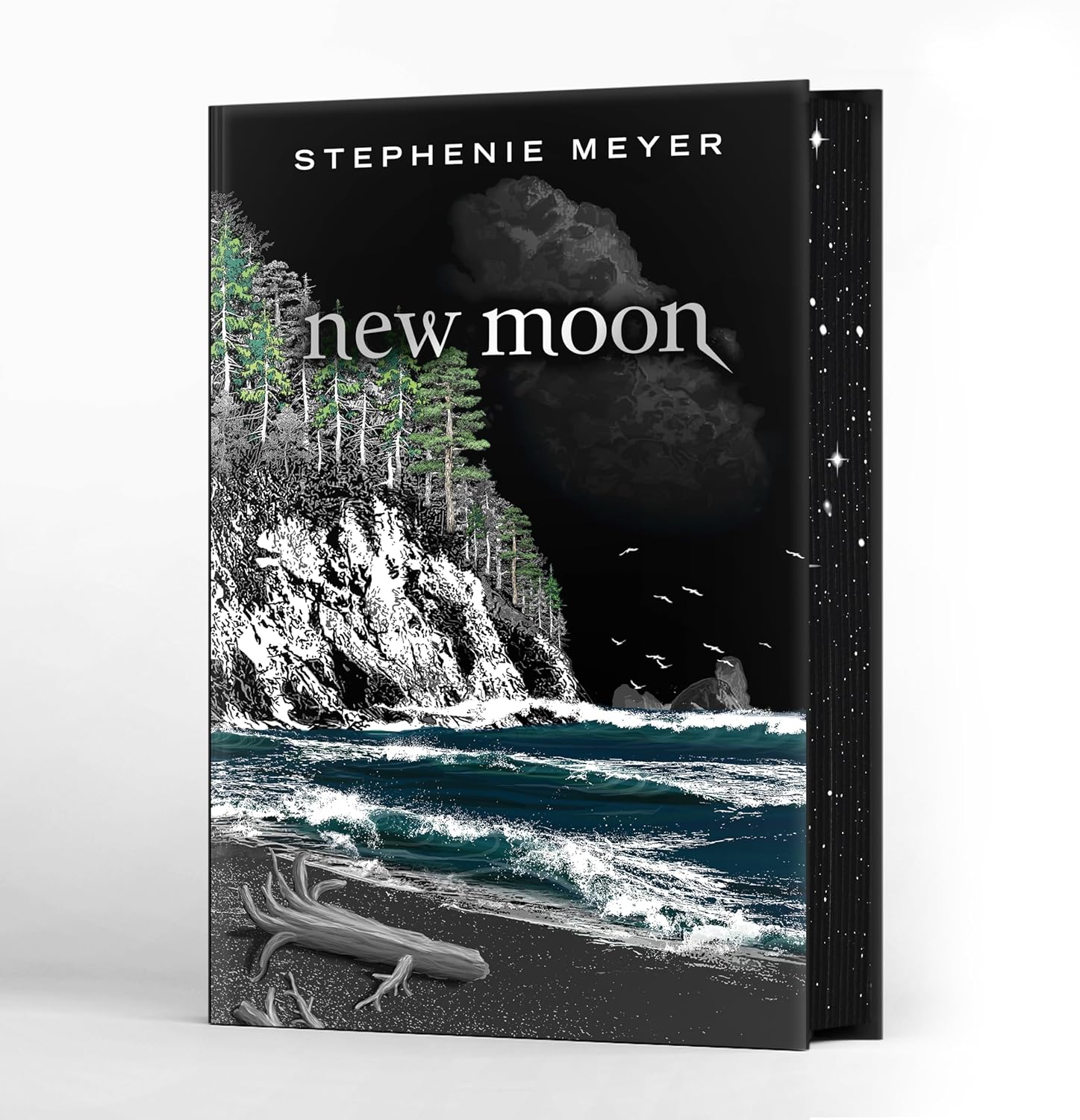 The Twilight Saga Deluxe Hardcover Collection (Twilight Saga, 1)