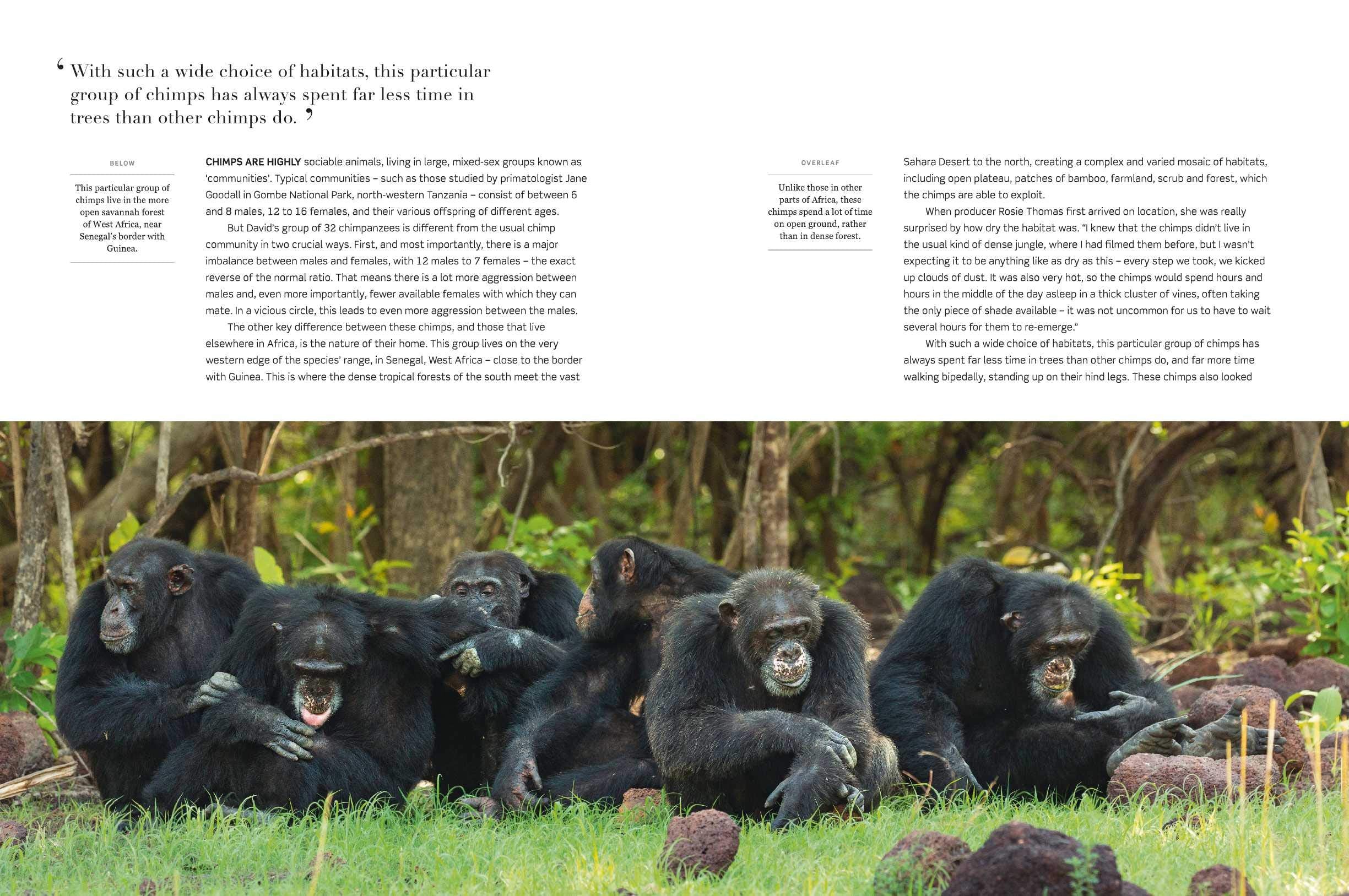 Dynasties The Rise and Fall of Animal Families Stephen Moss David Attenborough