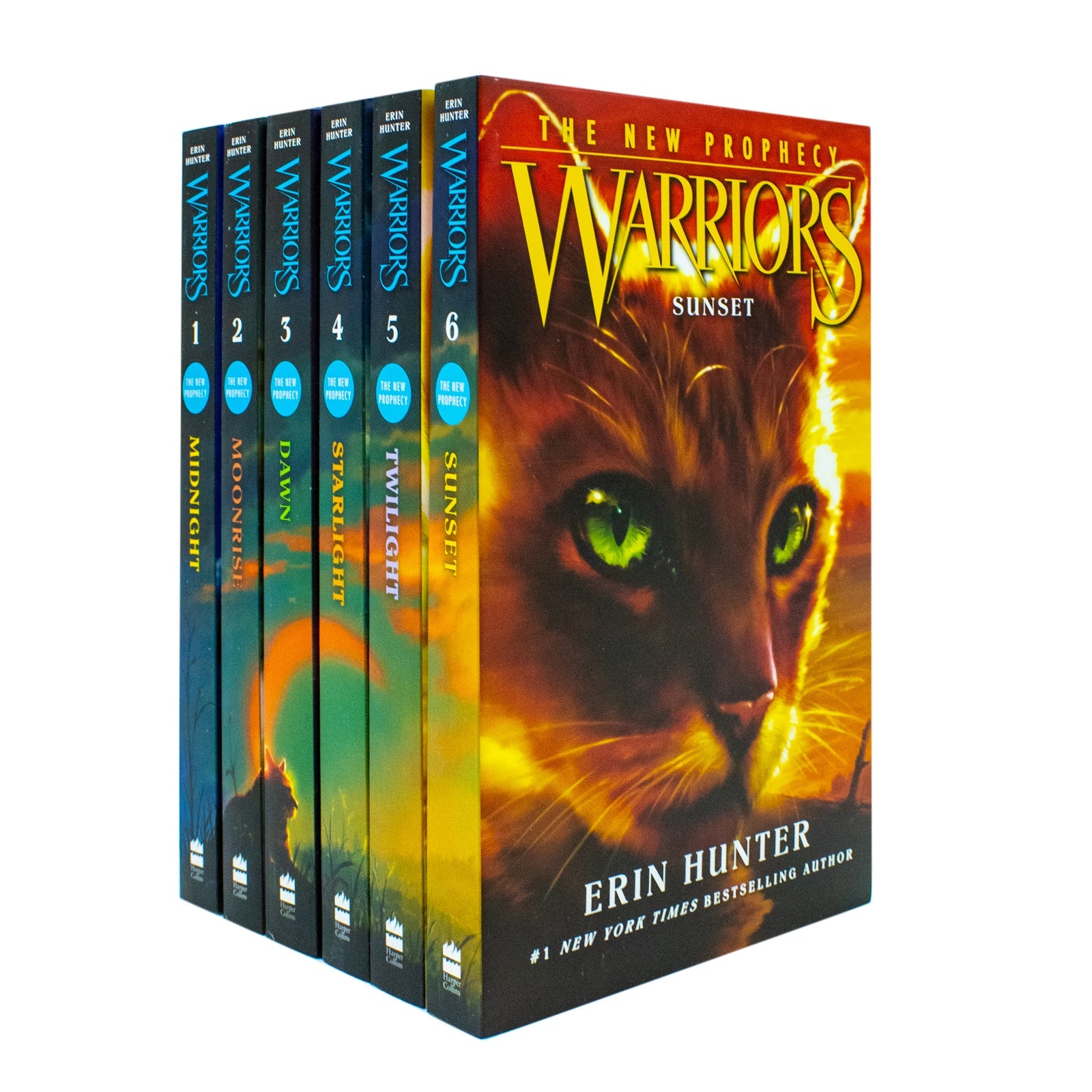 Warrior Cats Series 2 by Erin Hunter - 6 Books for Young Readers