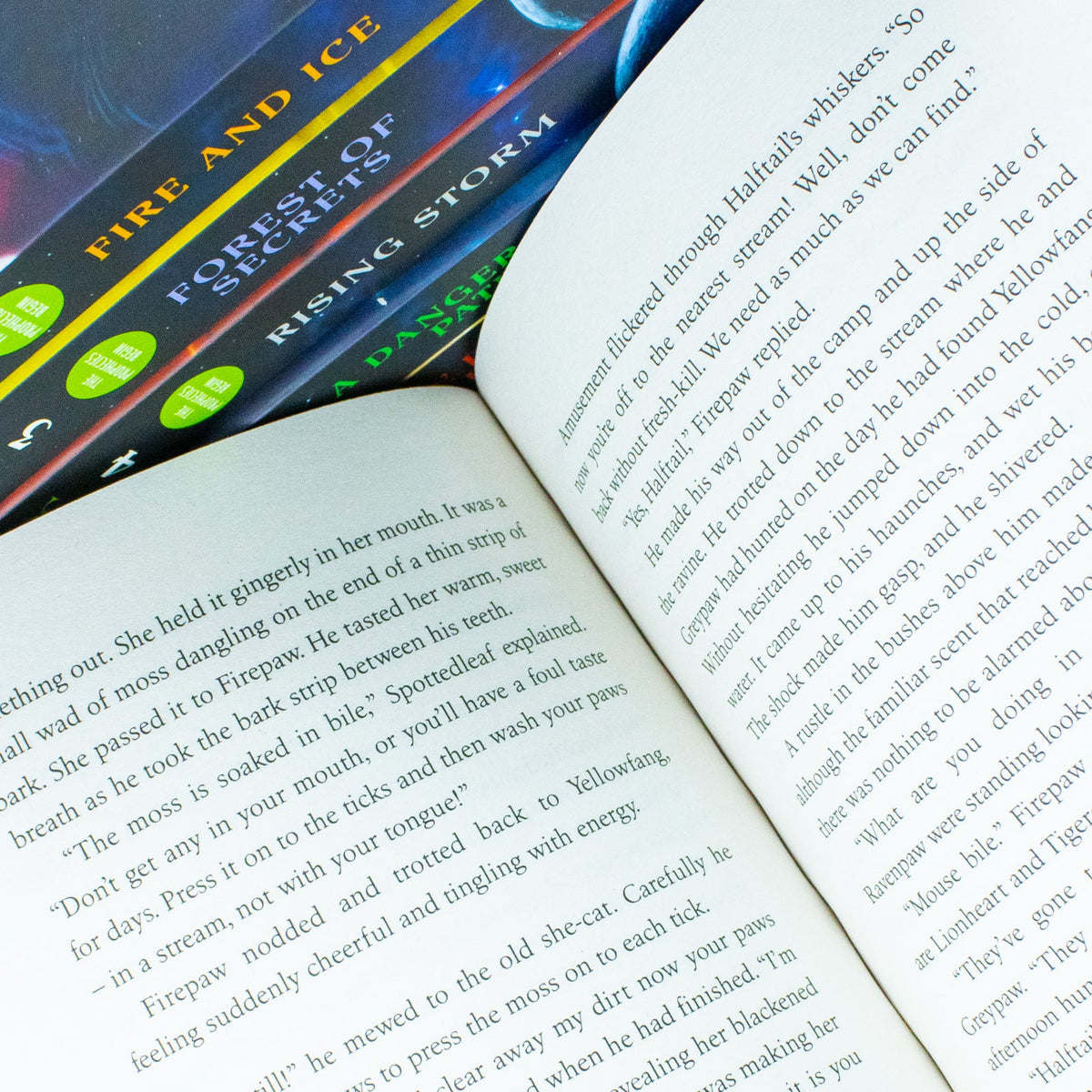 Warrior Cats Series 1 The Prophecies Begin - 6-Book Collection by Erin Hunter for ages 8+! Perfect for young readers seeking adventure and fantasy!