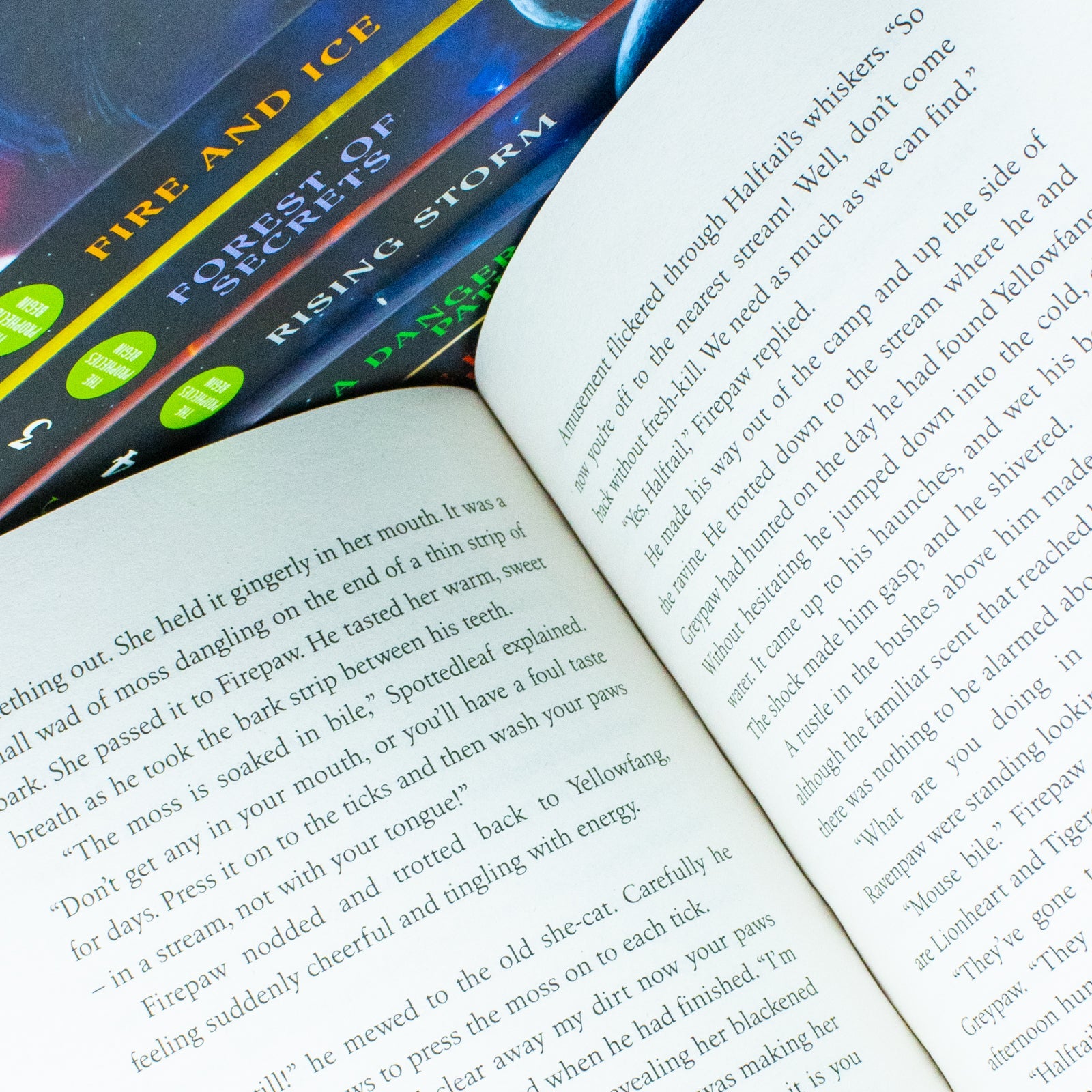 Warrior Cats Series 1 The Prophecies Begin - 6-Book Collection by Erin Hunter for ages 8+! Perfect for young readers seeking adventure and fantasy!