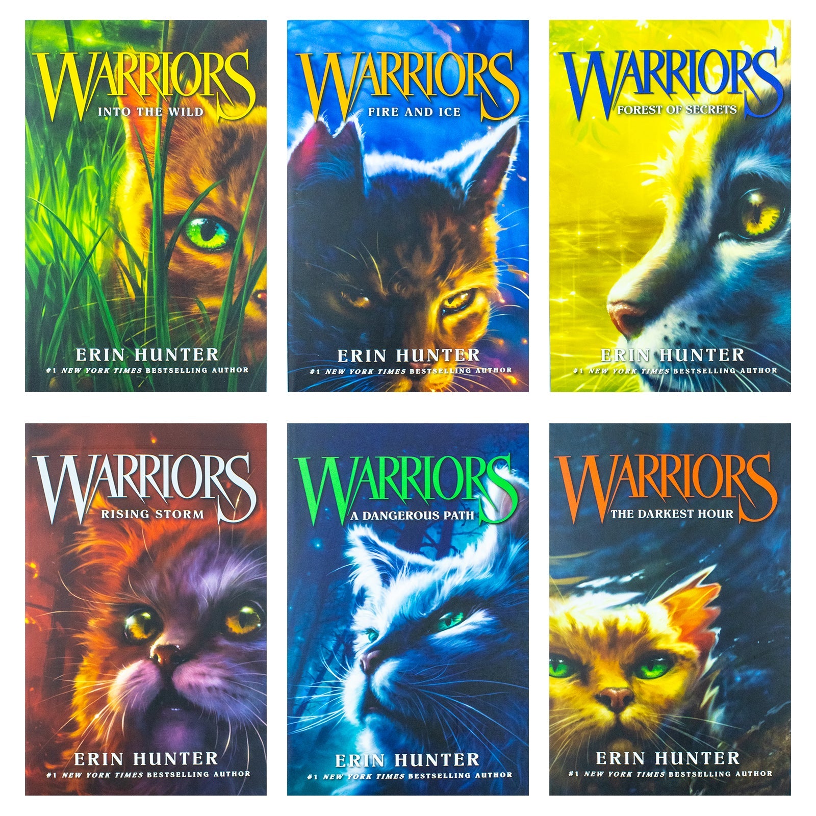 Warrior Cats Series 1 The Prophecies Begin - 6-Book Collection by Erin Hunter for ages 8+! Perfect for young readers seeking adventure and fantasy!