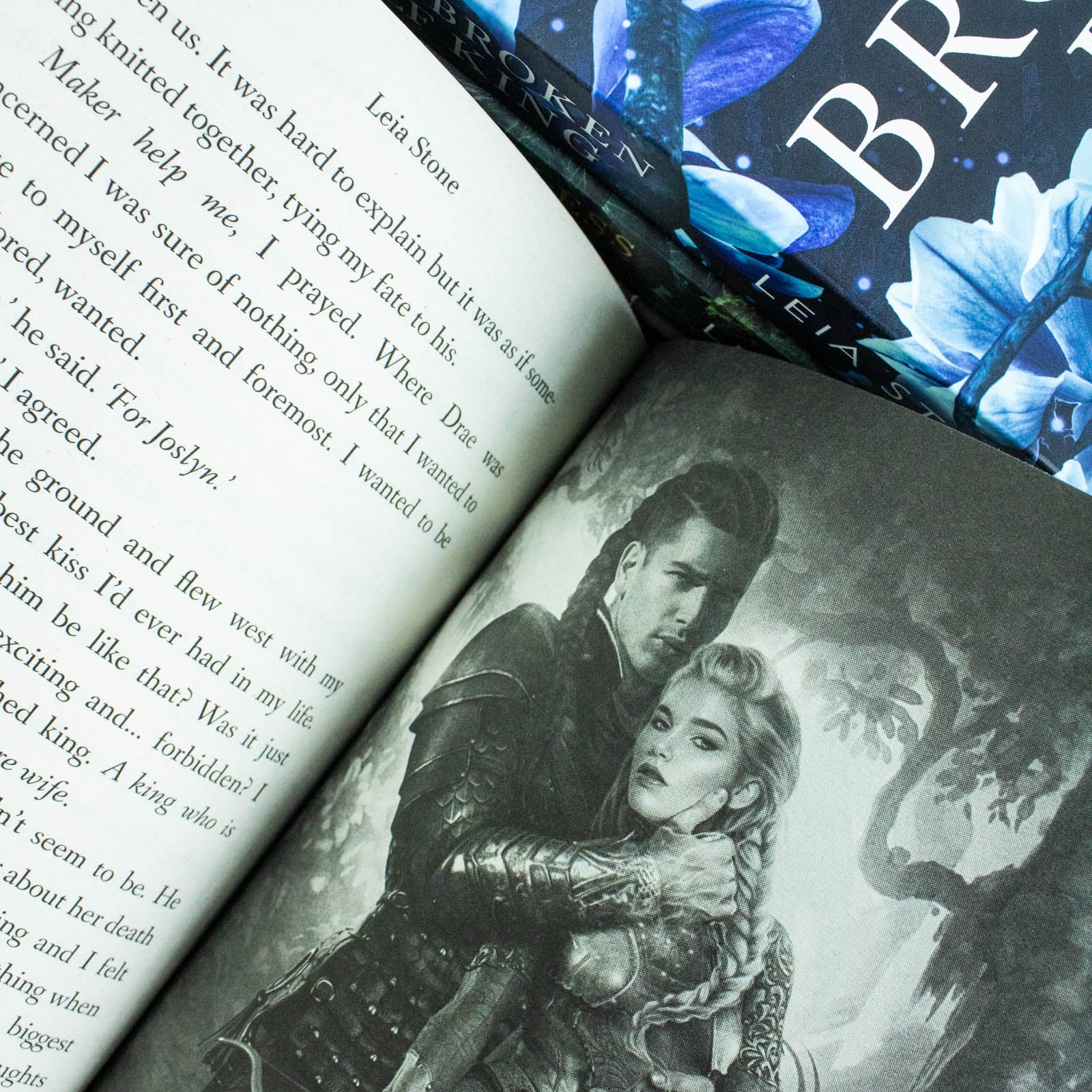 Kings of Avalier 4 Book Collection by Leia Stone| Epic Fantasy Series– The Last Dragon King,The Broken Elf King & More| Adventure & Mythical Creatures