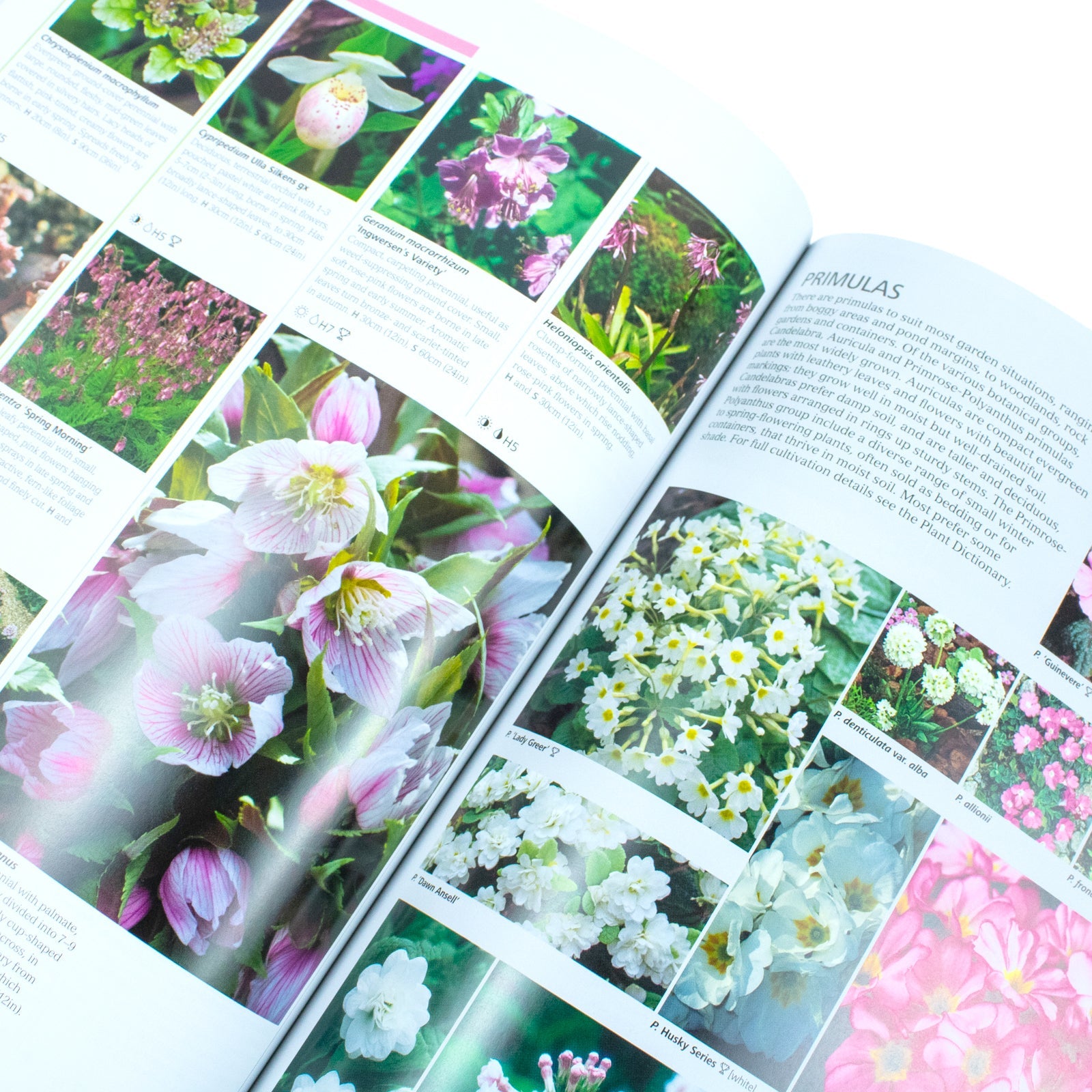 RHS Encyclopedia of Plants and Flowers by Christopher Brickell | Ultimate Gardening Book for Plant Care, Garden Design, Horticulture & Flower Guide