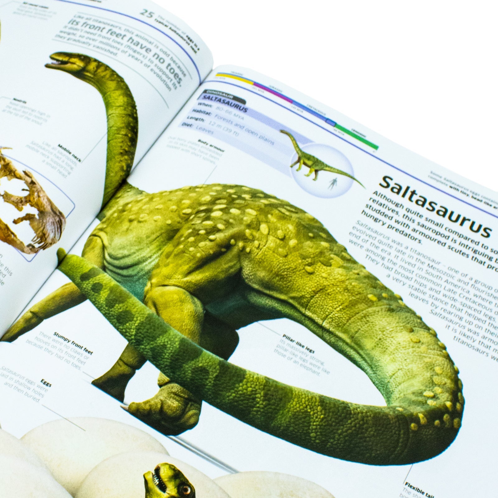 Knowledge Encyclopedia Dinosaur!: Explore 60+ Prehistoric Creatures | Fun, Educational Science Book for Kids 8+ with Facts, Images & Adventure