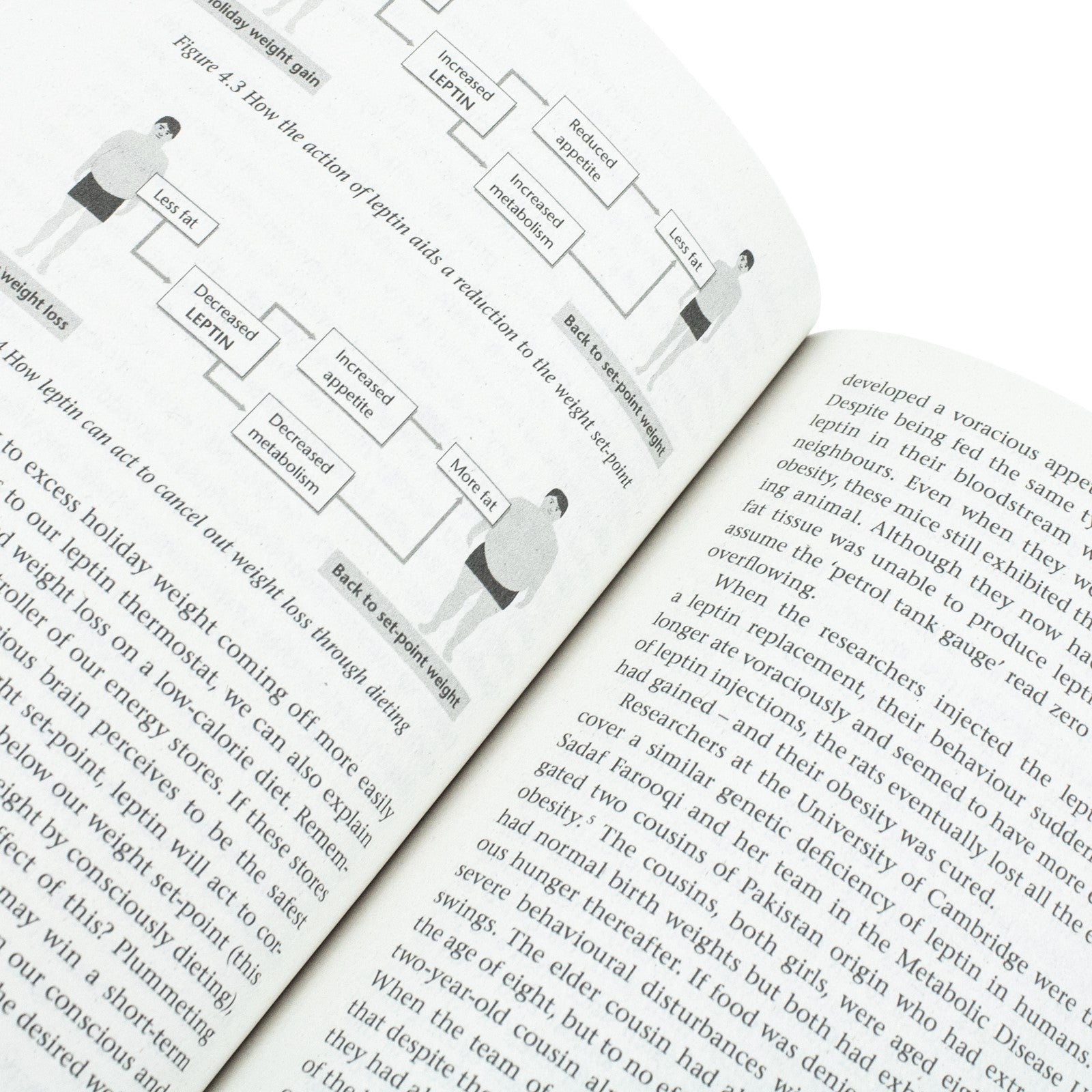 Why We Eat (Too Much): Discover the New Science of Appetite and Understand Your Eating Behaviour by Dr Andrew Jenkinson | Book for Ages 12+