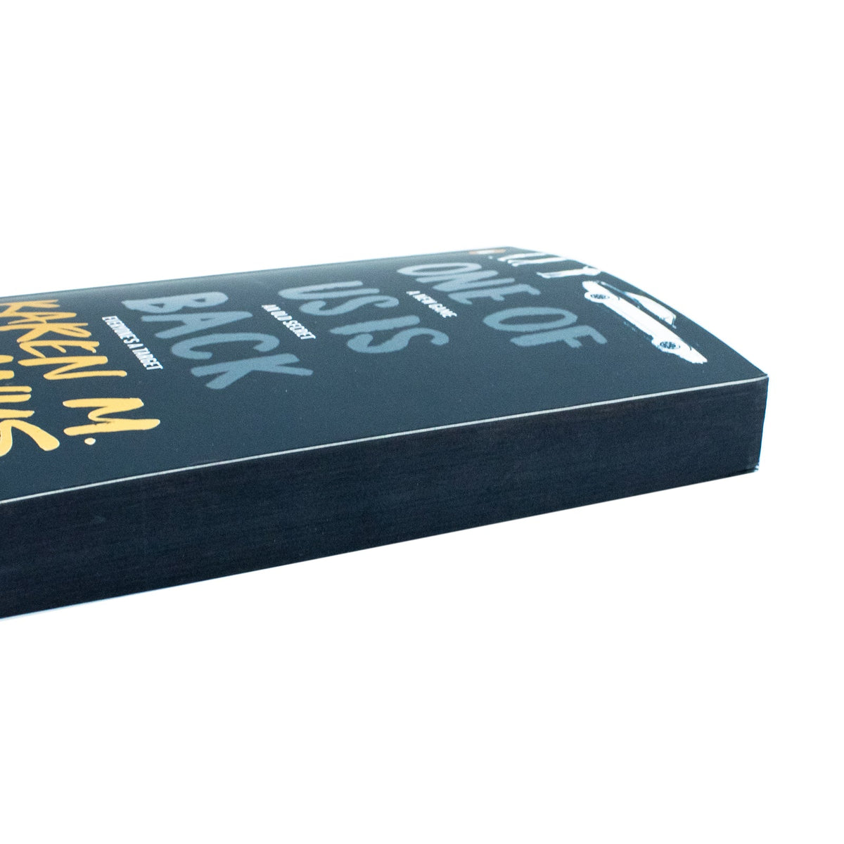 One of Us Is Back by Karen McManus, Paperback, Young Adult Mystery Series for Ages 12+ with Thrilling Suspense and Drama