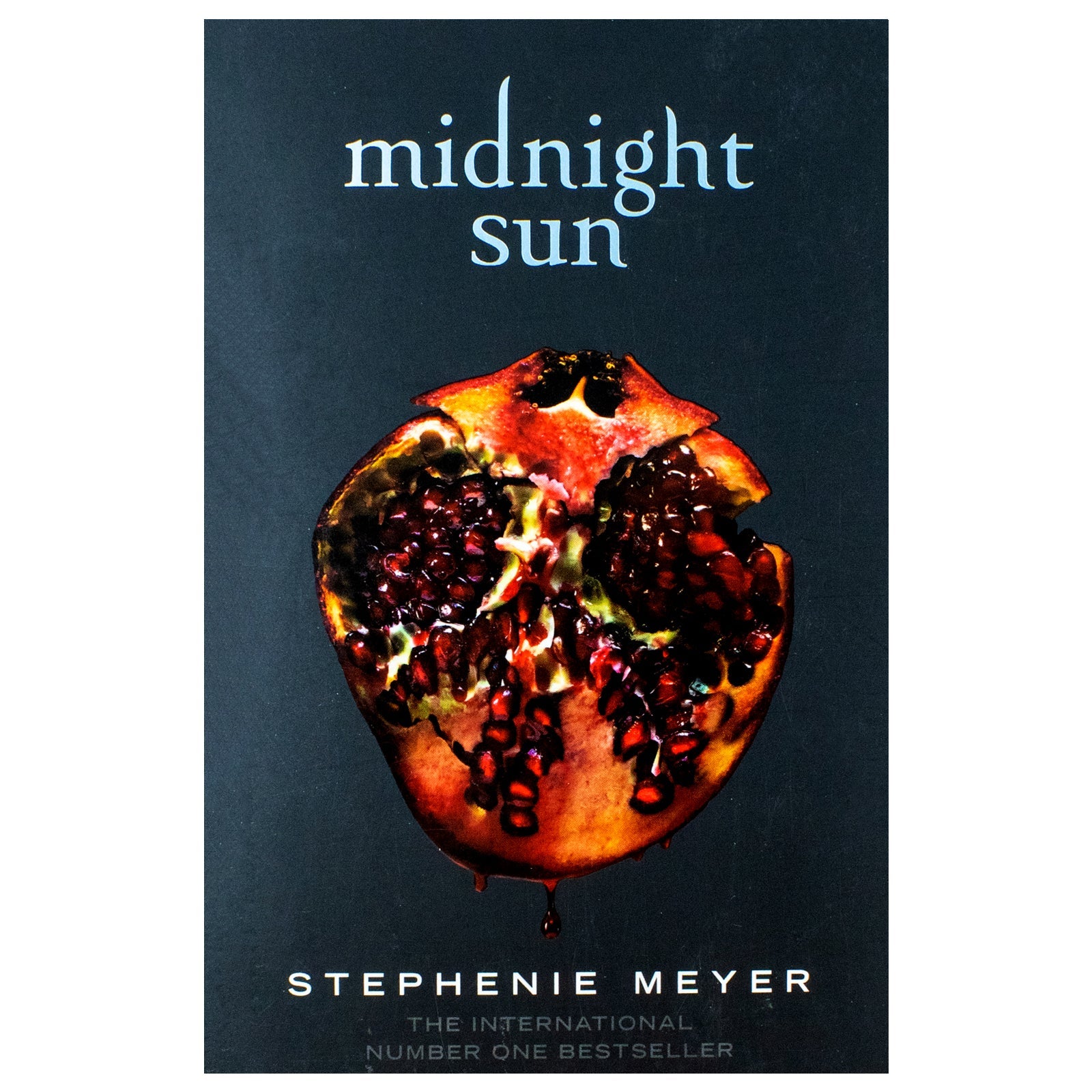 Midnight Sun Book (Twilight series, 5)