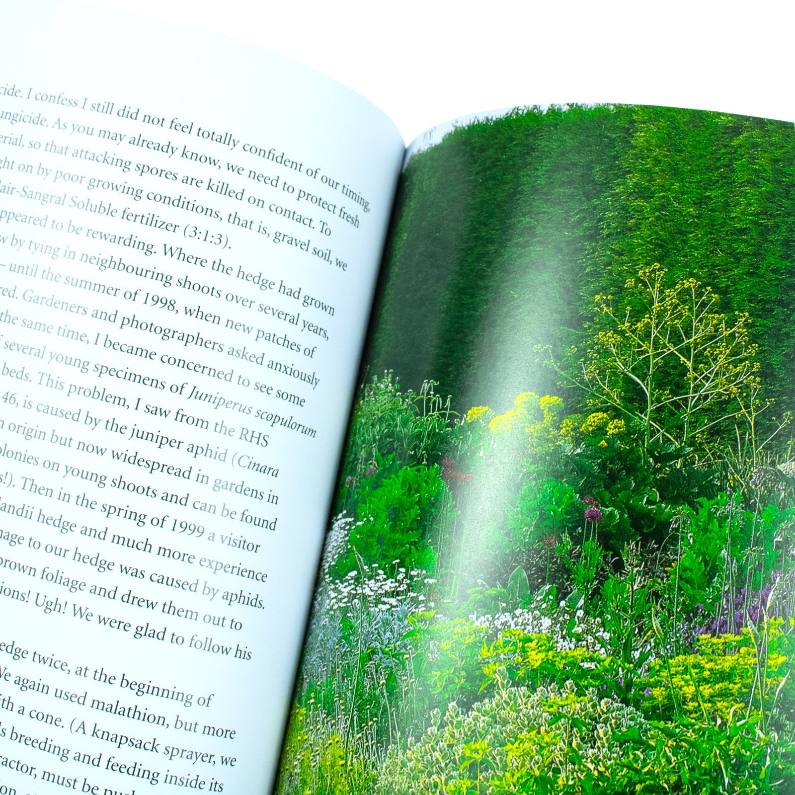 Drought-Resistant Planting: Lessons from Beth Chatto's Gravel Garden Book by Beth Chatto | Sustainable Gardening, Eco-Friendly Plant Care & Design