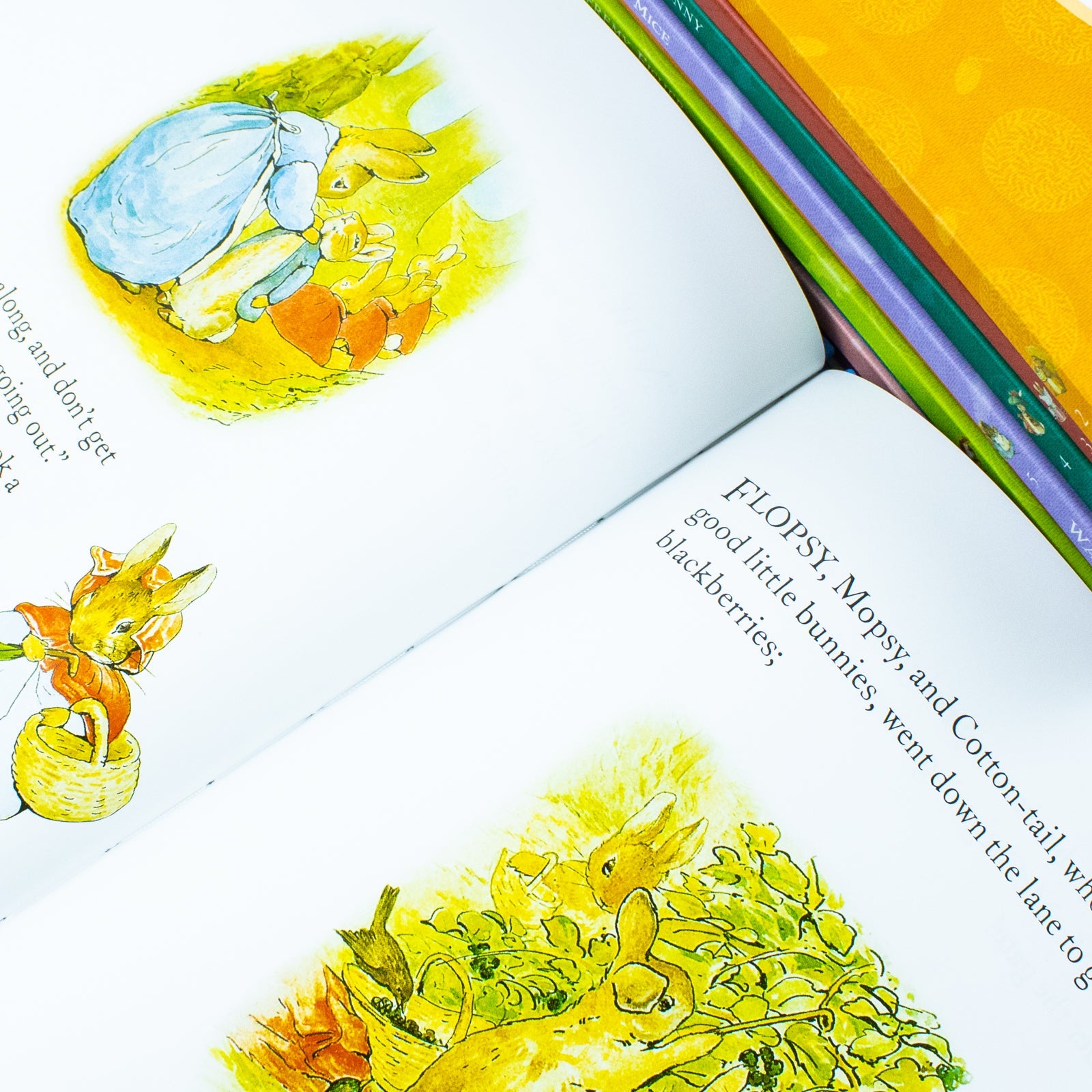 Peter Rabbit 10-Book Box Set by Beatrix Potter – Classic children's books, illustrated bunny tales, bedtime stories, perfect gift for ages 0–6