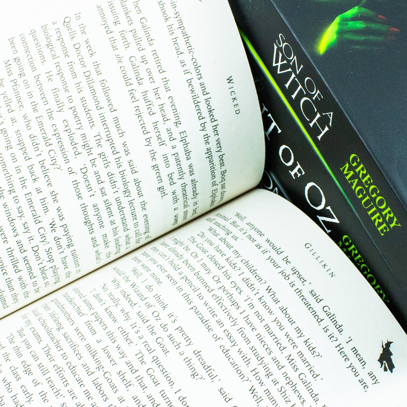 Wicked For Good Glinda Series 4 Book Collection by Gregory Maguire Wicked,Son of a Witch, A Lion Among Men & Out of Oz | Wizard of Oz Fantasy Books Set