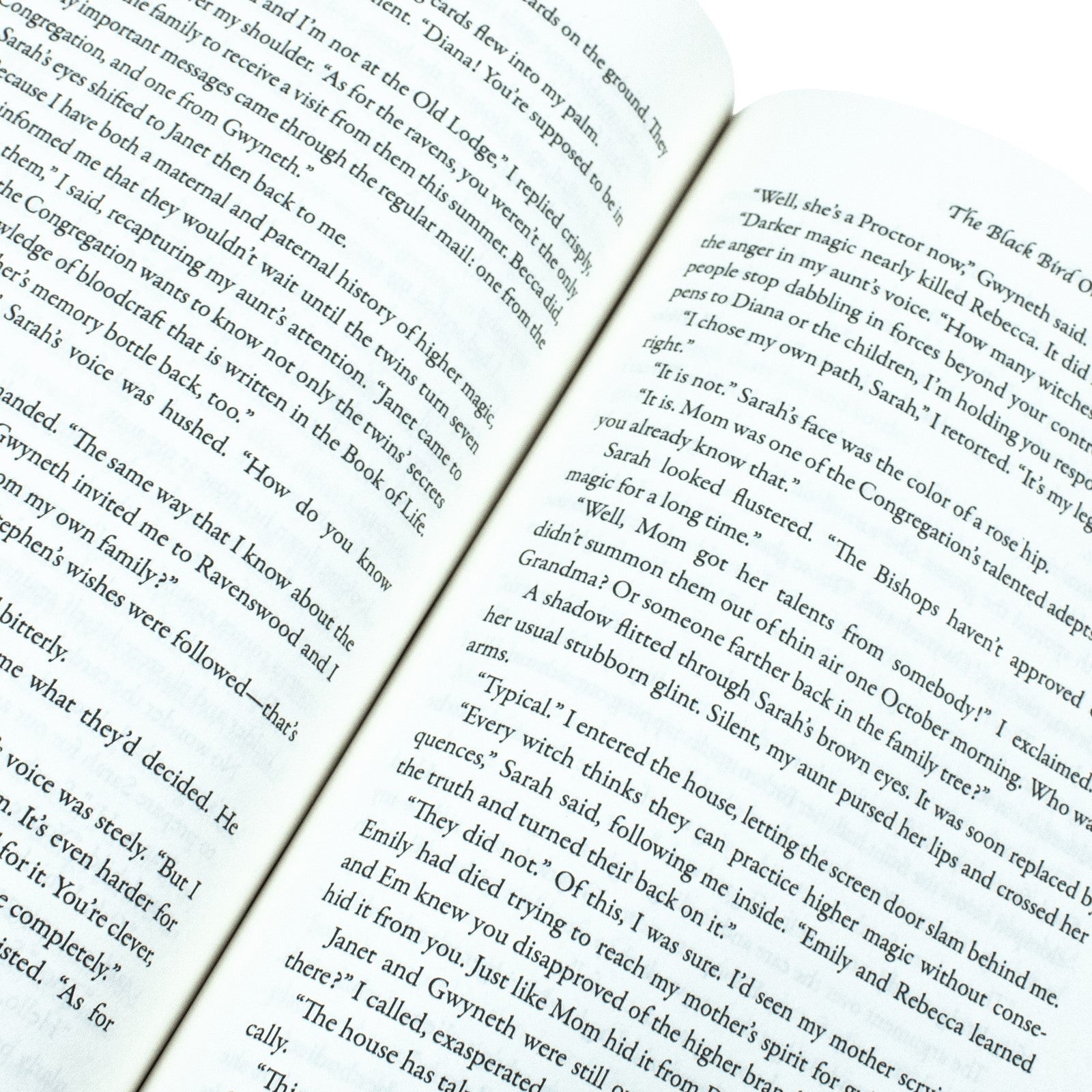 The Black Bird Oracle: The exhilarating new All Souls novel featuring Diana Bishop and Matthew Clairmont