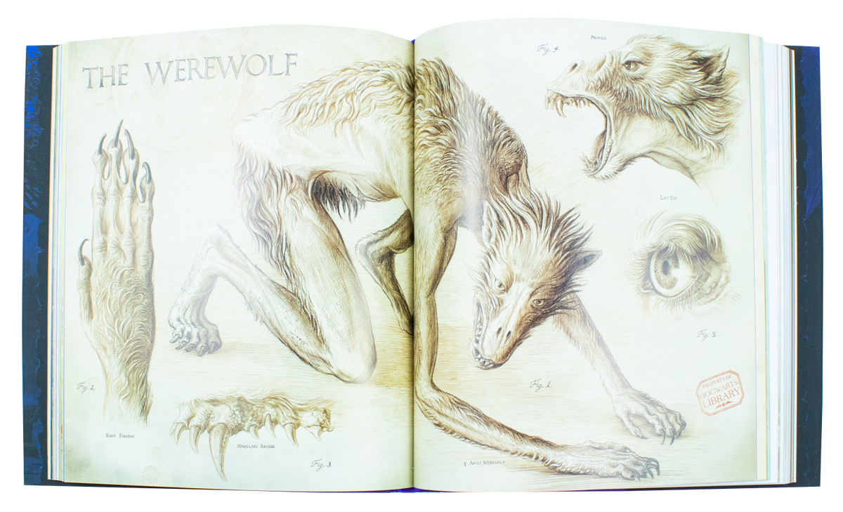 Harry Potter and the Prisoner of Azkaban, Illustrated Edition by J.K. Rowling, (Hardback)