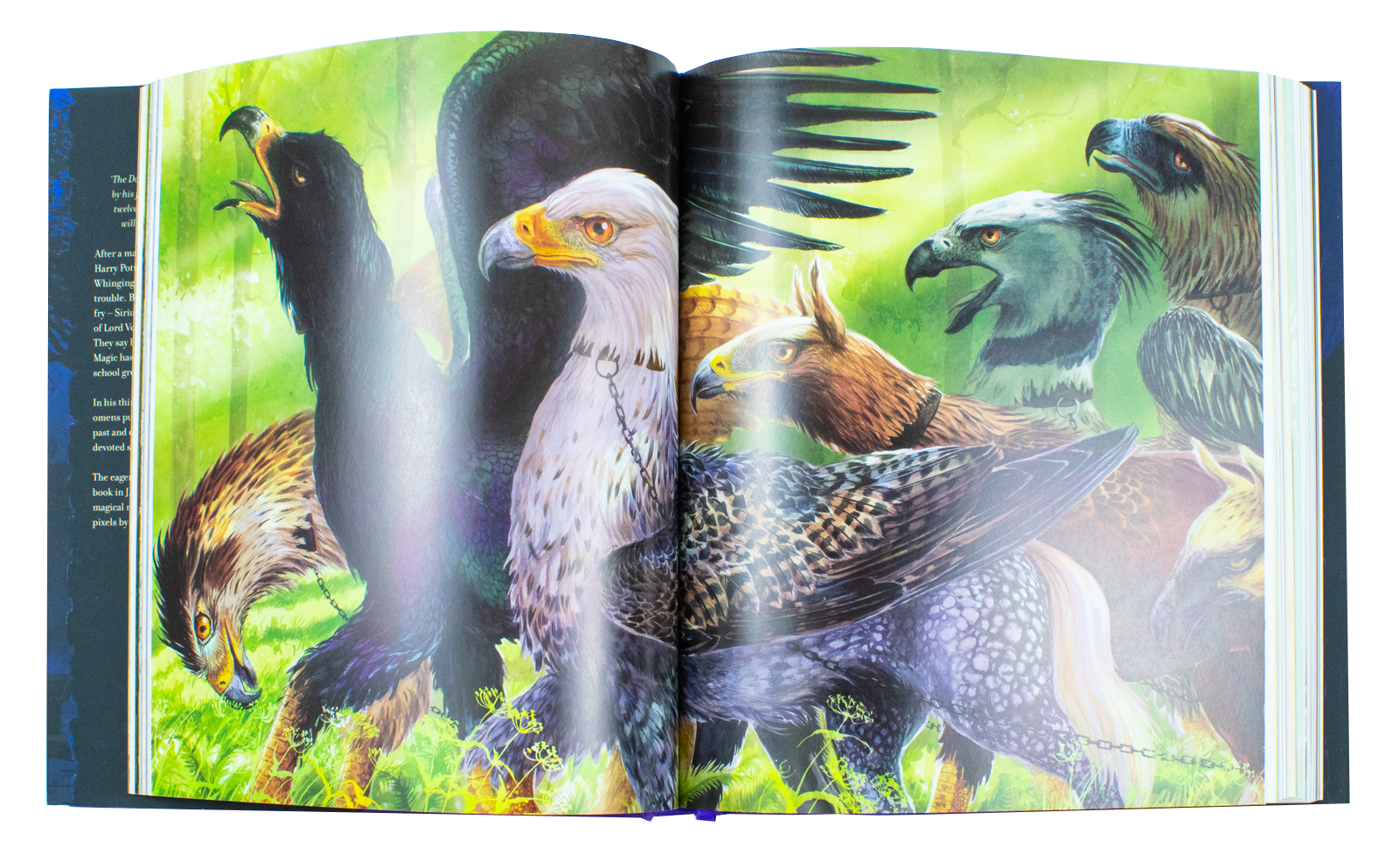 Harry Potter and the Prisoner of Azkaban, Illustrated Edition by J.K. Rowling, (Hardback)