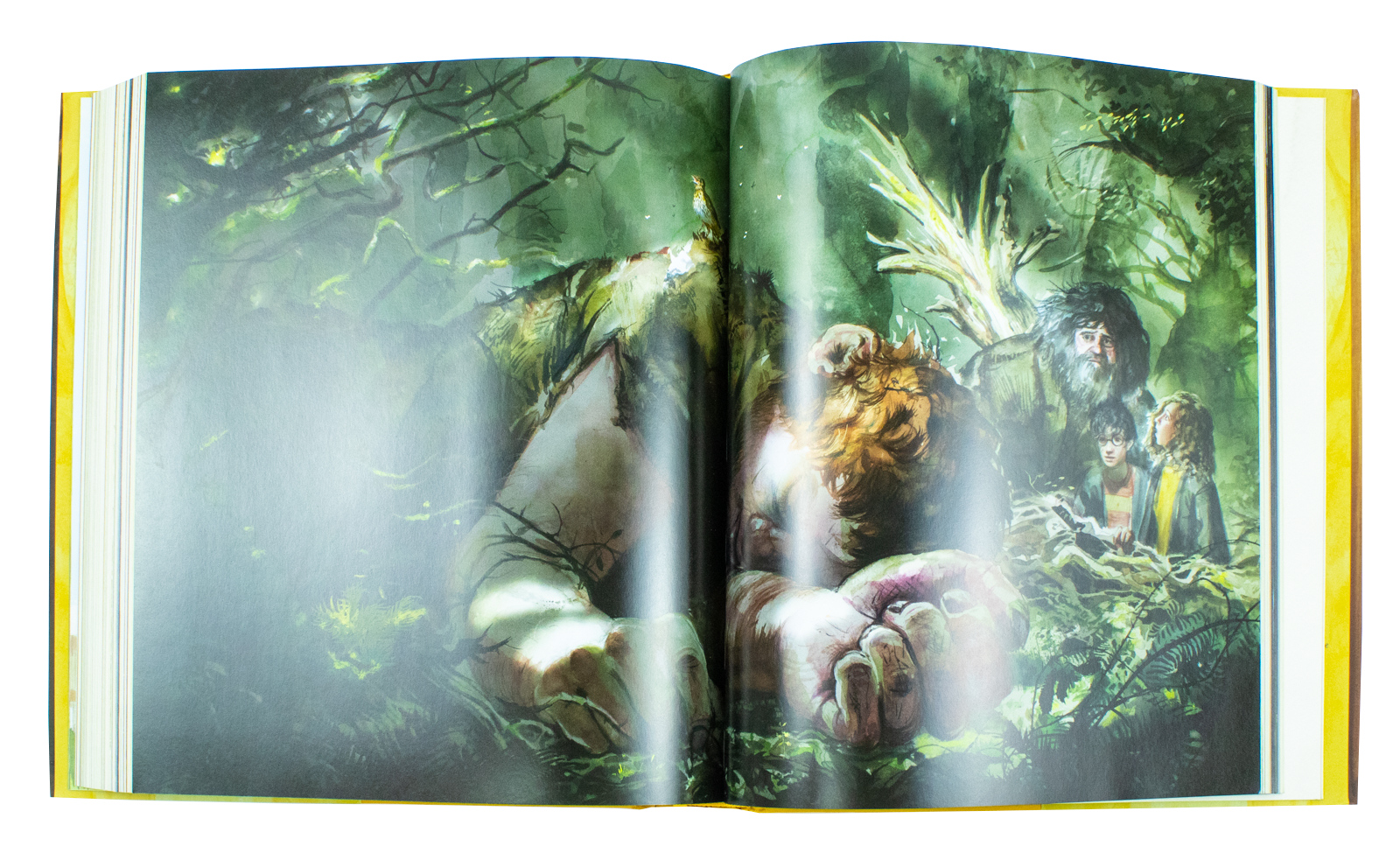 Harry Potter and the Order of the Phoenix By J.K. Rowling & Jim Kay (Illustrated Edition, Hardback)