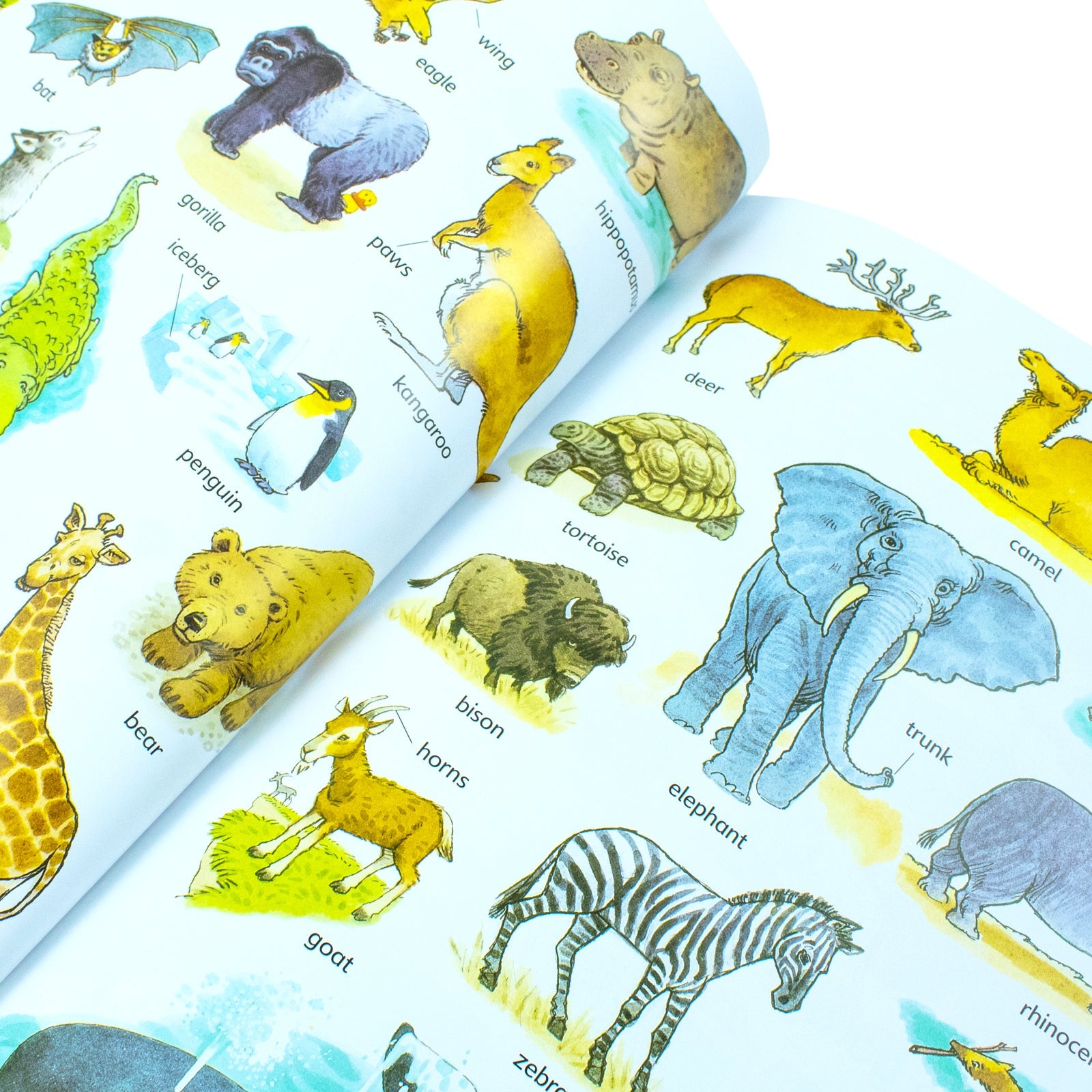 Usborne First Thousand Words In English Children Book By Heather Amery