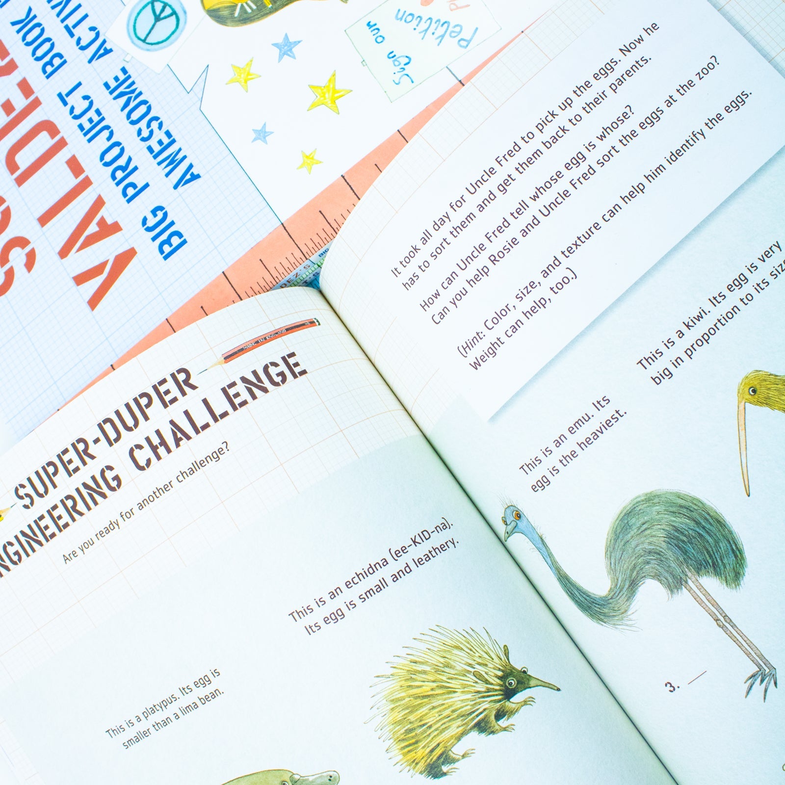 The Questioneers Big Project Book (Paperback) Collection by Andrea Beaty | Creative STEM Activities, Drawing, Puzzles, Games & Fun Learning for Kids