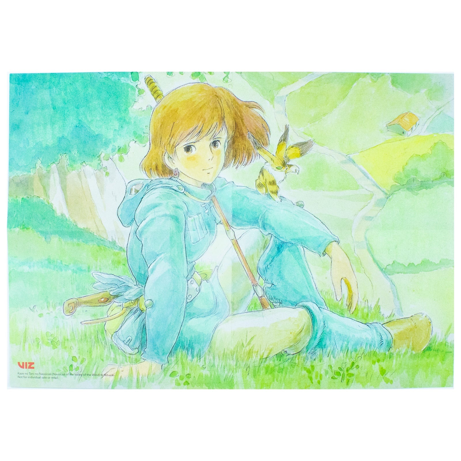 Nausicaa of the Valley of the Wind Box Set|2-Book Graphic Novel Collection| Epic Fantasy Manga, Adventure, Fiction, Comics & Youth Reading (VIZ Media)