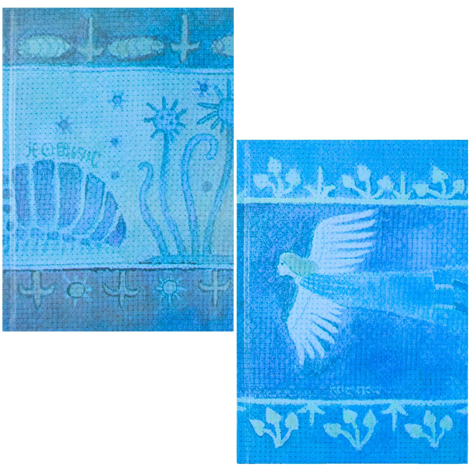 Nausicaa of the Valley of the Wind Box Set|2-Book Graphic Novel Collection| Epic Fantasy Manga, Adventure, Fiction, Comics & Youth Reading (VIZ Media)