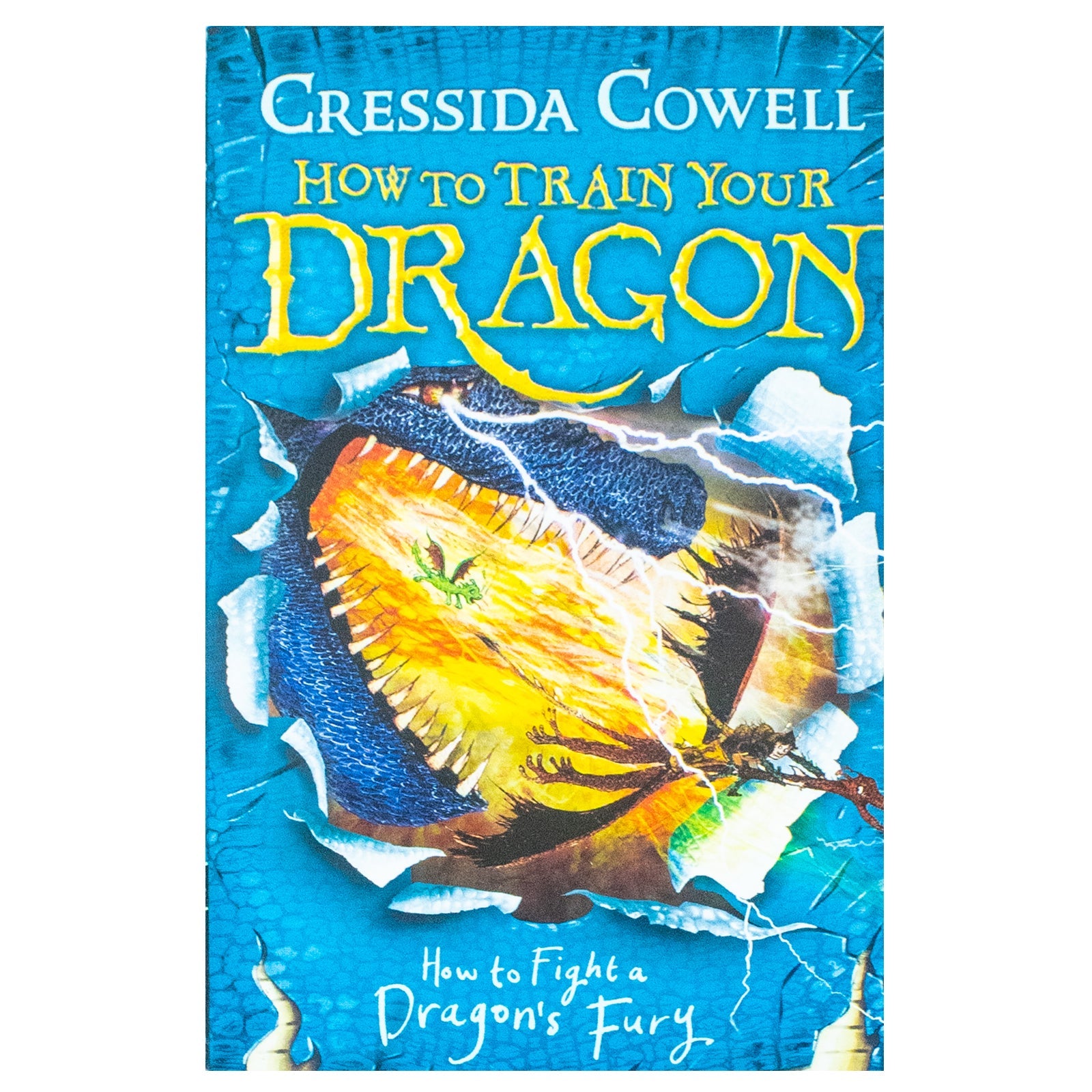 How to train your dragon Vol 12 How to train a dragons fury By Cressida Cowell