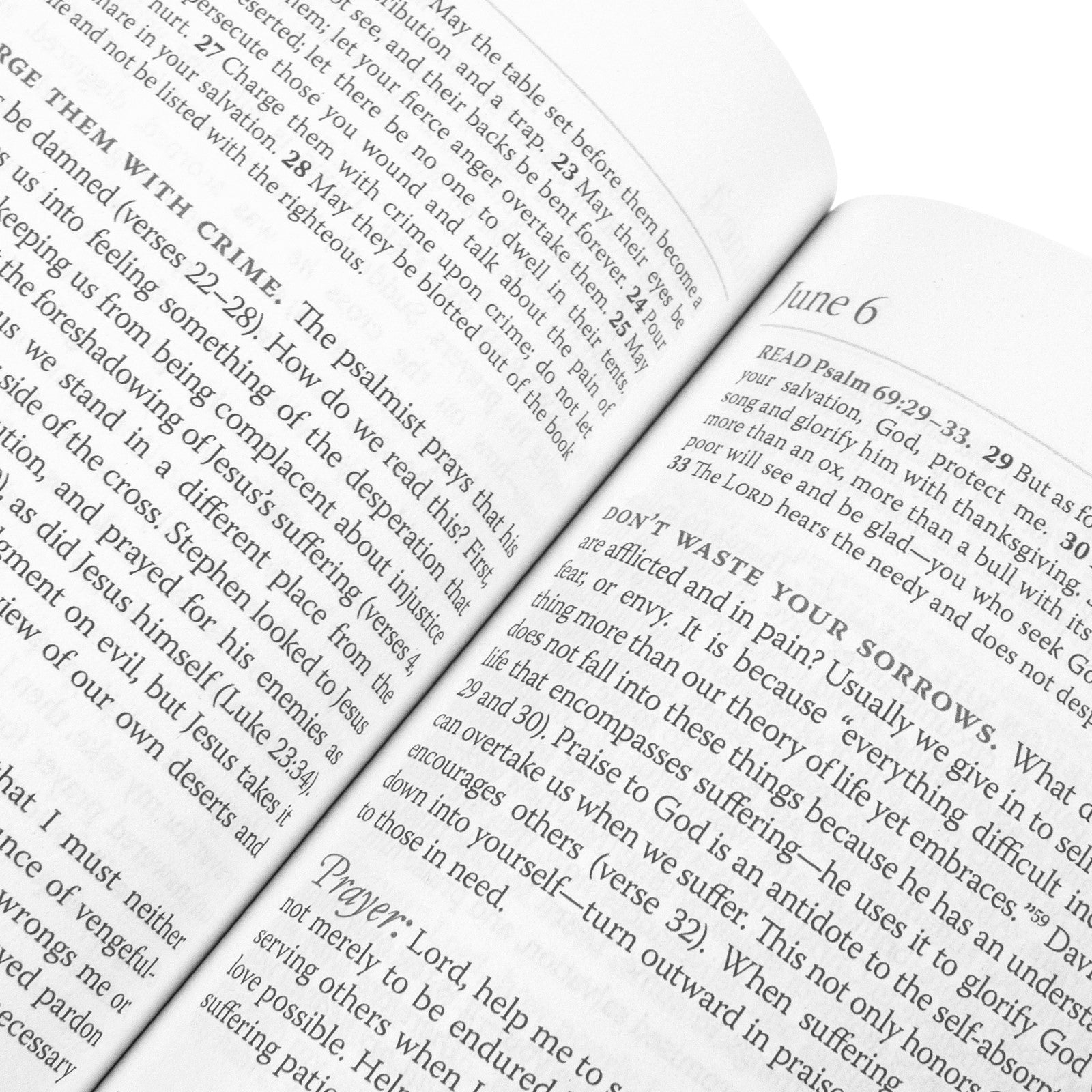 My Rock; My Refuge: A Year of Daily Devotions in the Psalms (US title: The Songs of Jesus)