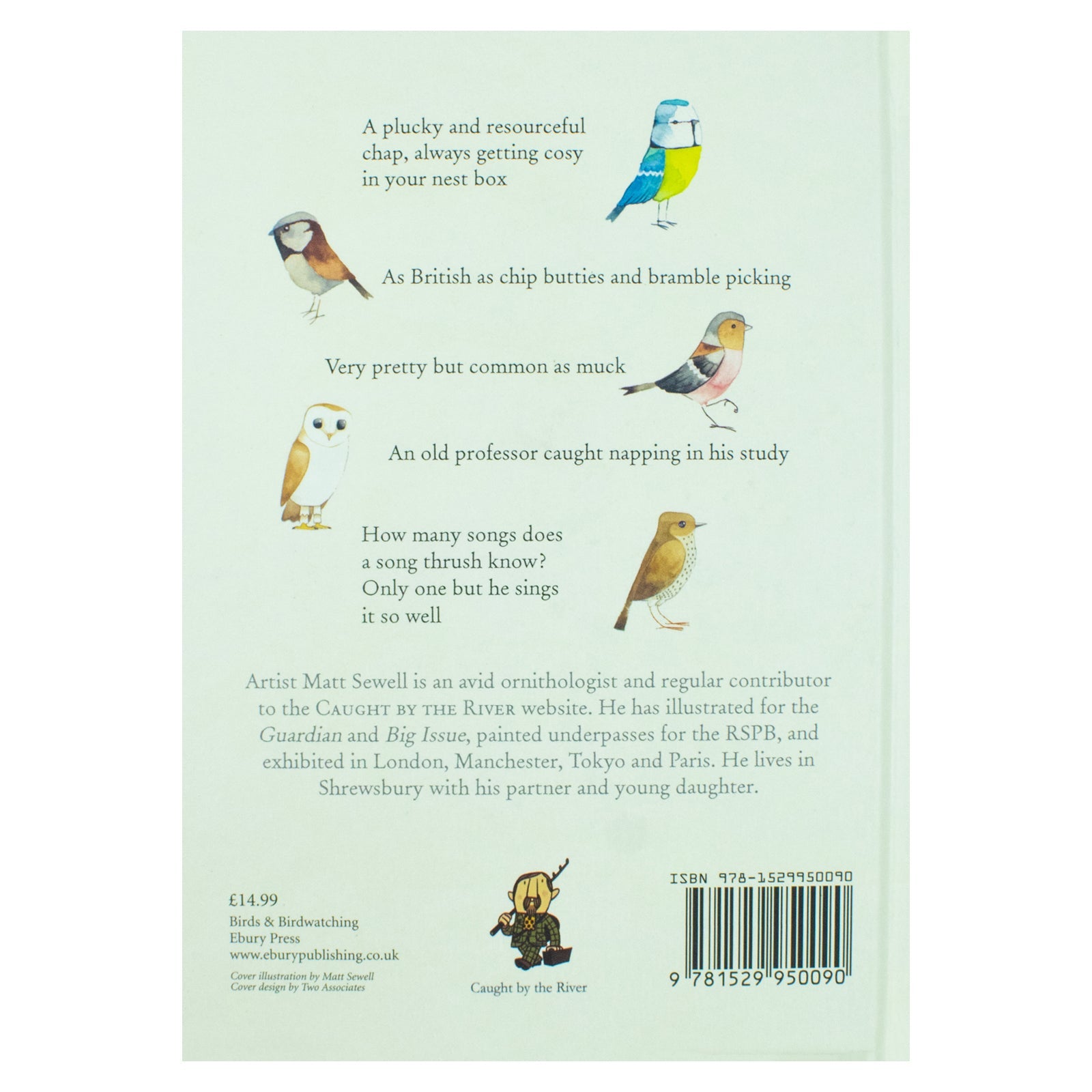 Our Garden Birds: A Stunning Illustrated Guide to the Birdlife of the British Isles by Matt Sewell | Nature, Wildlife & Birdwatching Book for All Ages