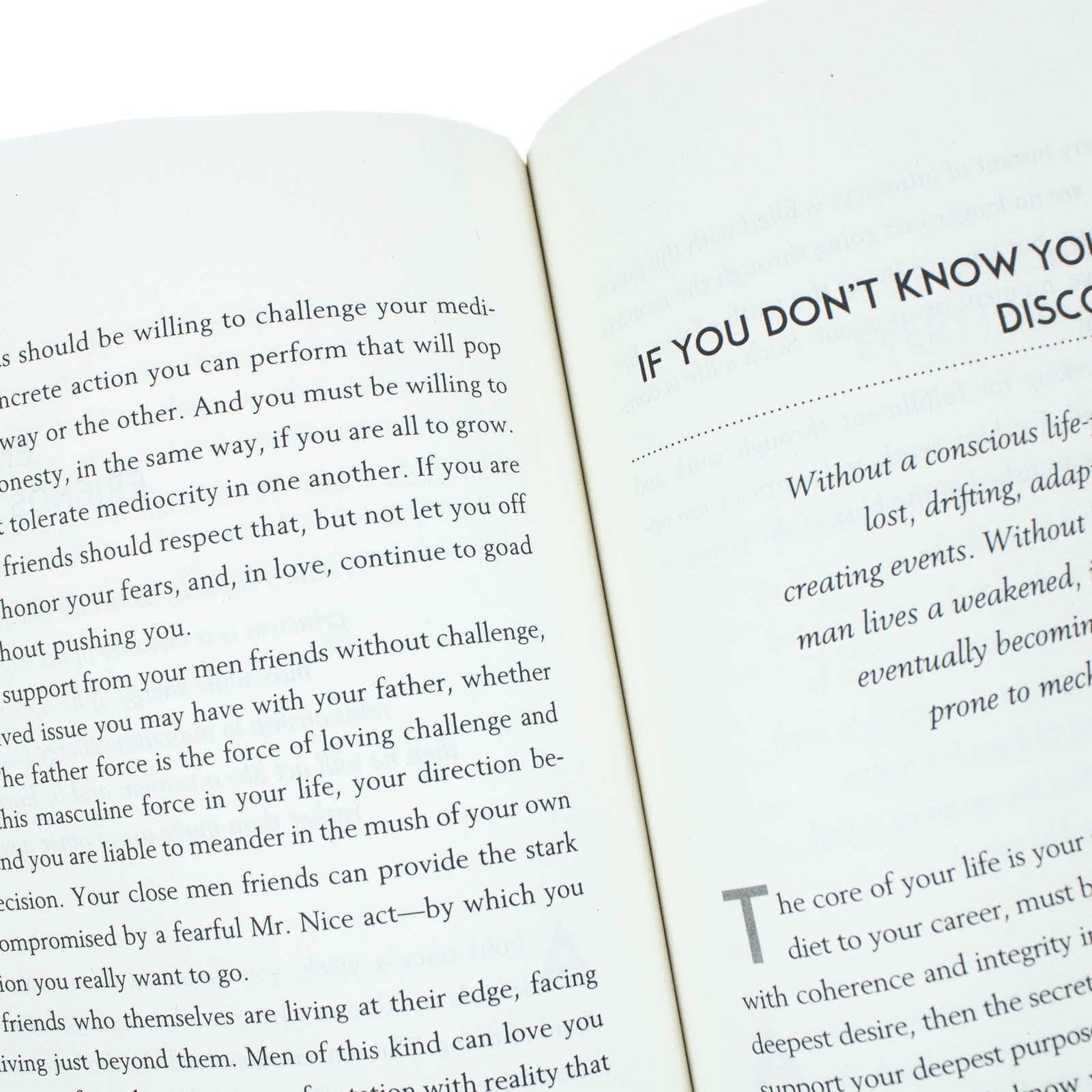 The Way of the Superior Man Book by David Deida – A Spiritual Guide to Mastering Women, Work & Sexual Desire | Self-Help, Masculinity,& Success