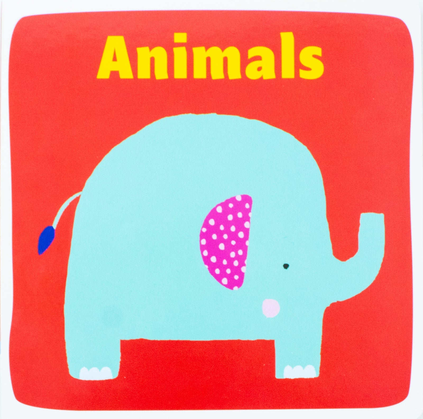 My Early Learning Box (Things That Go, First Words, Colours, Animals)