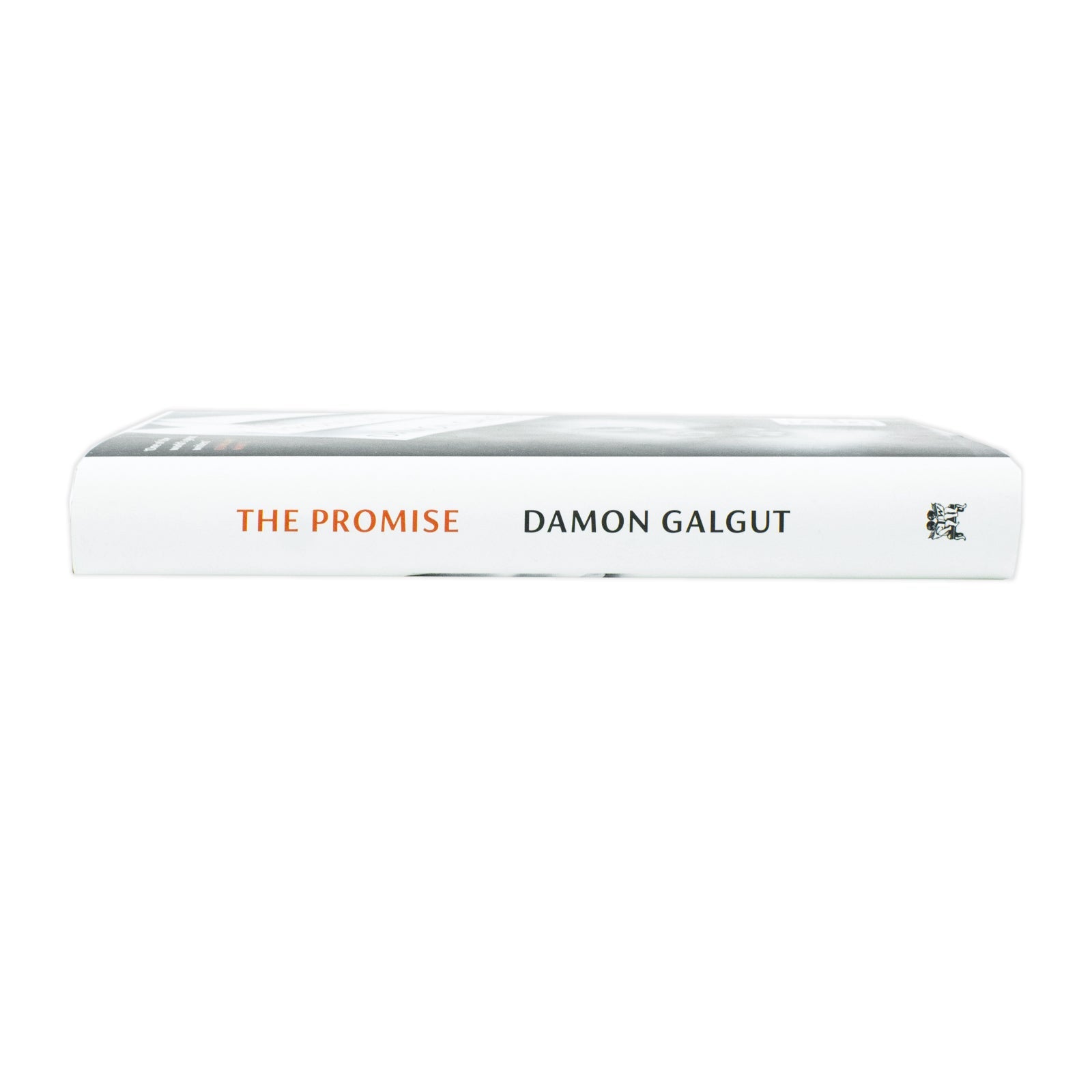 The Promise By Damon Galgut: WINNER OF THE BOOKER PRIZE 2021