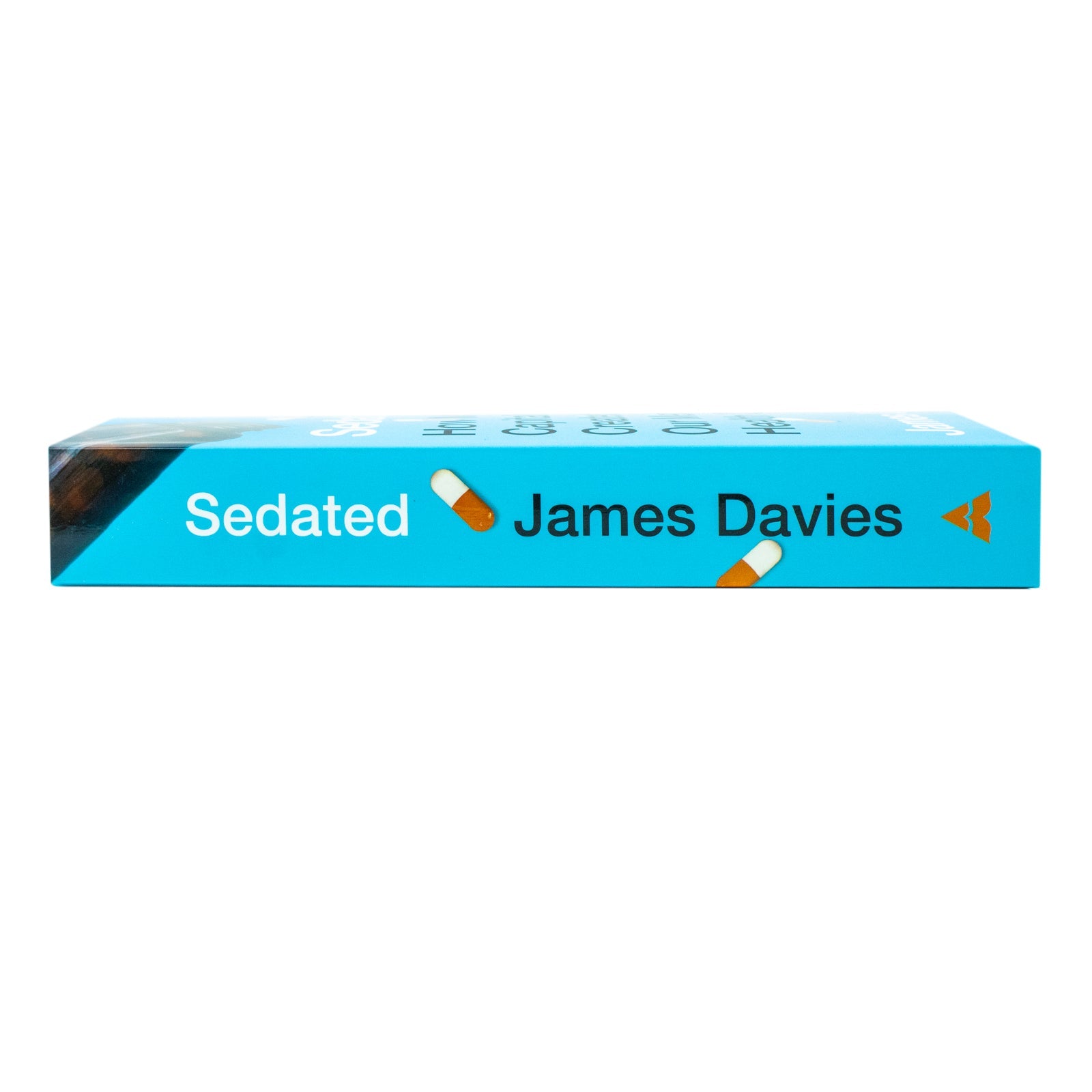 Sedated: How Modern Capitalism Fuels the Mental Health Crisis By James Davies