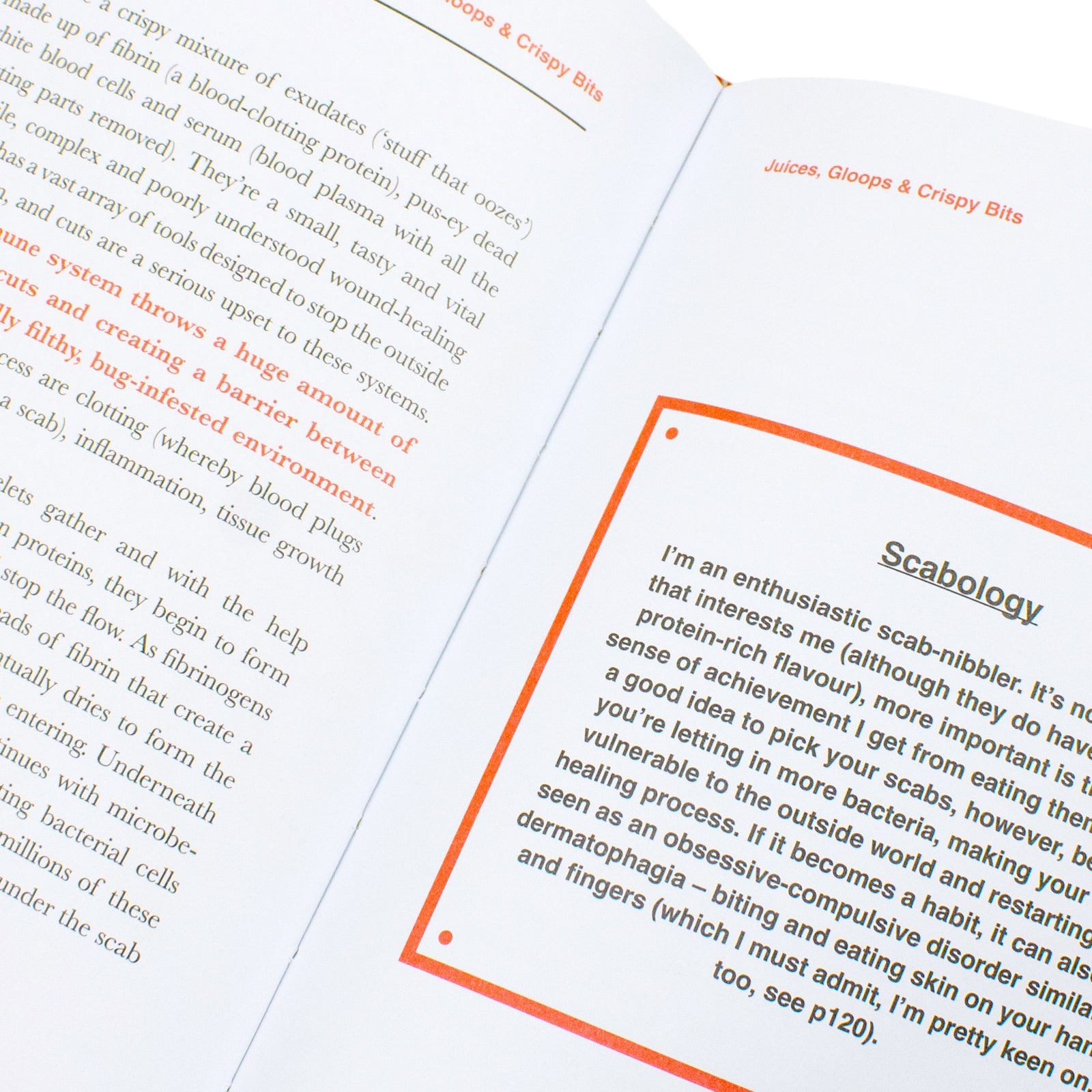 Rude Science: Everything You've Always Wanted to Know About the Science No One Ever Talks About by Stefan Gates (Hardback)