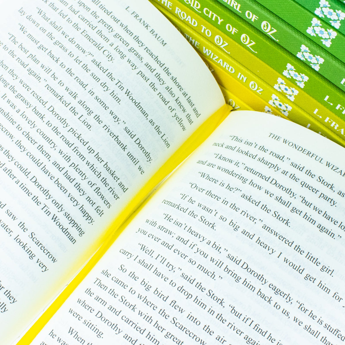 The Wizard of Oz 15 Book Deluxe Hardcover Collection for Young Readers Classic Illustrated Wicked Fantasy Adventure Tales of Magic Imagination Fun & Family Series