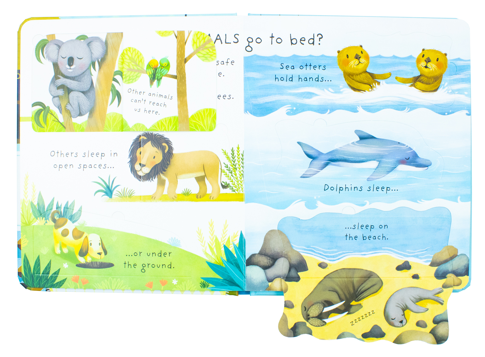 Usborne Lift the Flap Very First Questions & Answers 4 Book Set (What is Poo? What are Germs? What are Stars? Why Do I Have to Go to Bed?)