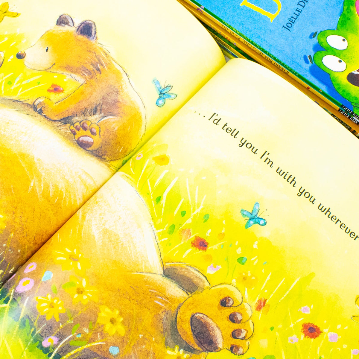 Animal Stories 10 Picture Books Collection Set (Squish Squash Squished, Cock-a-Doodle-Poo!, Hippobottymus, I Love You Forever and a Day and More)