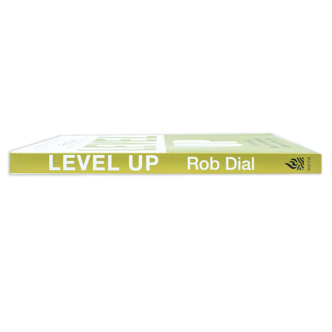 Level Up: Get Focused, Stop Procrastinating and Upgrade Your Life Book By Rob Dial
