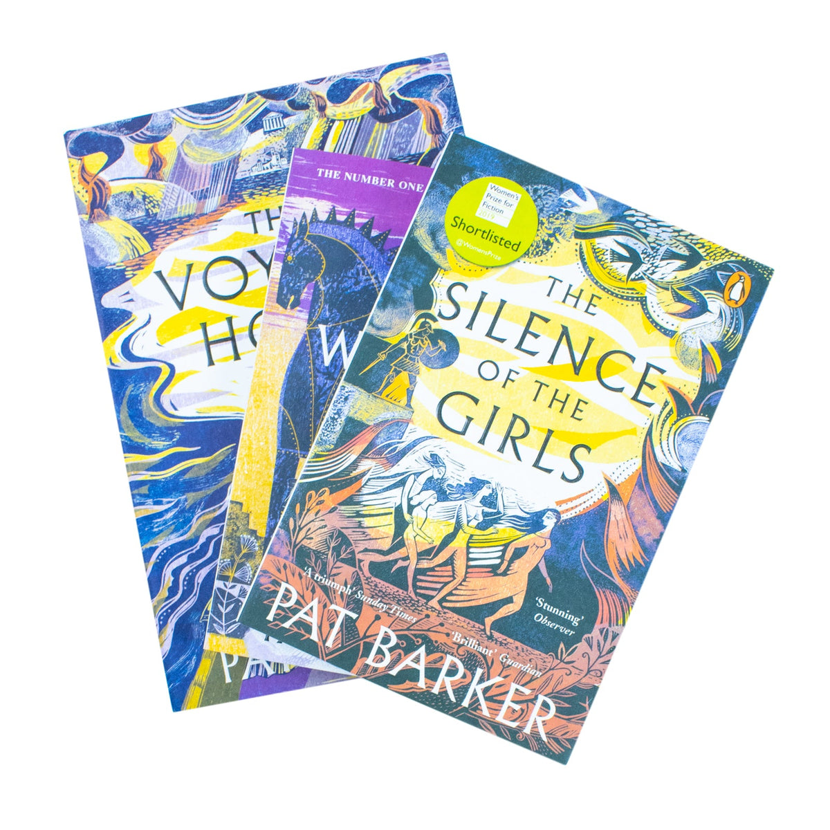Women of Troy Series By Pat Barker Complete 3 Books Collection Set (The Silence of the Girls, The Women of Troy & The Voyage Home)