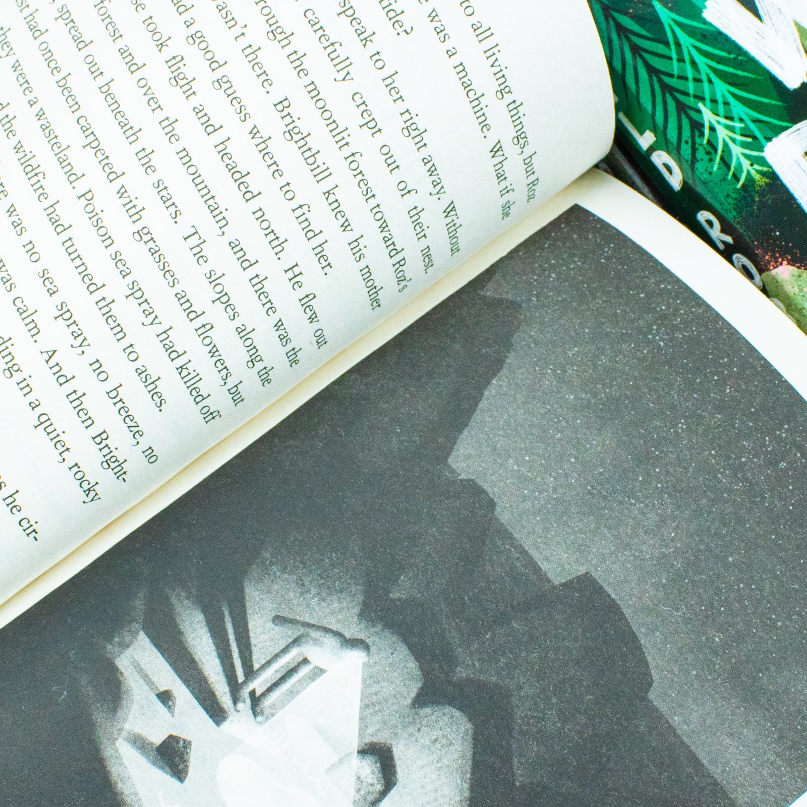 The Wild Robot 3-Book Set – Adventure, Nature & Survival Stories for Kids Ages 7+: Includes The Wild Robot, Escapes & Protects