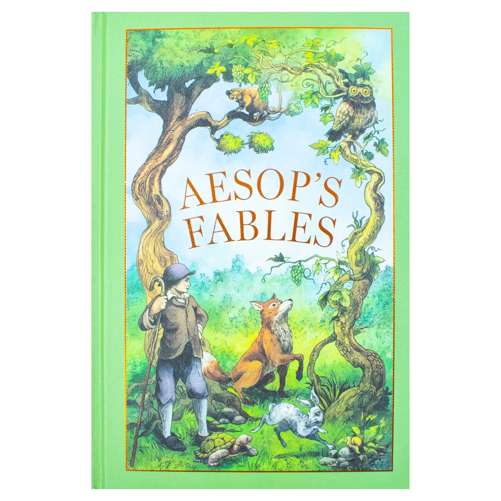 Aesops Fables (Leather Bound/Hardback Book)