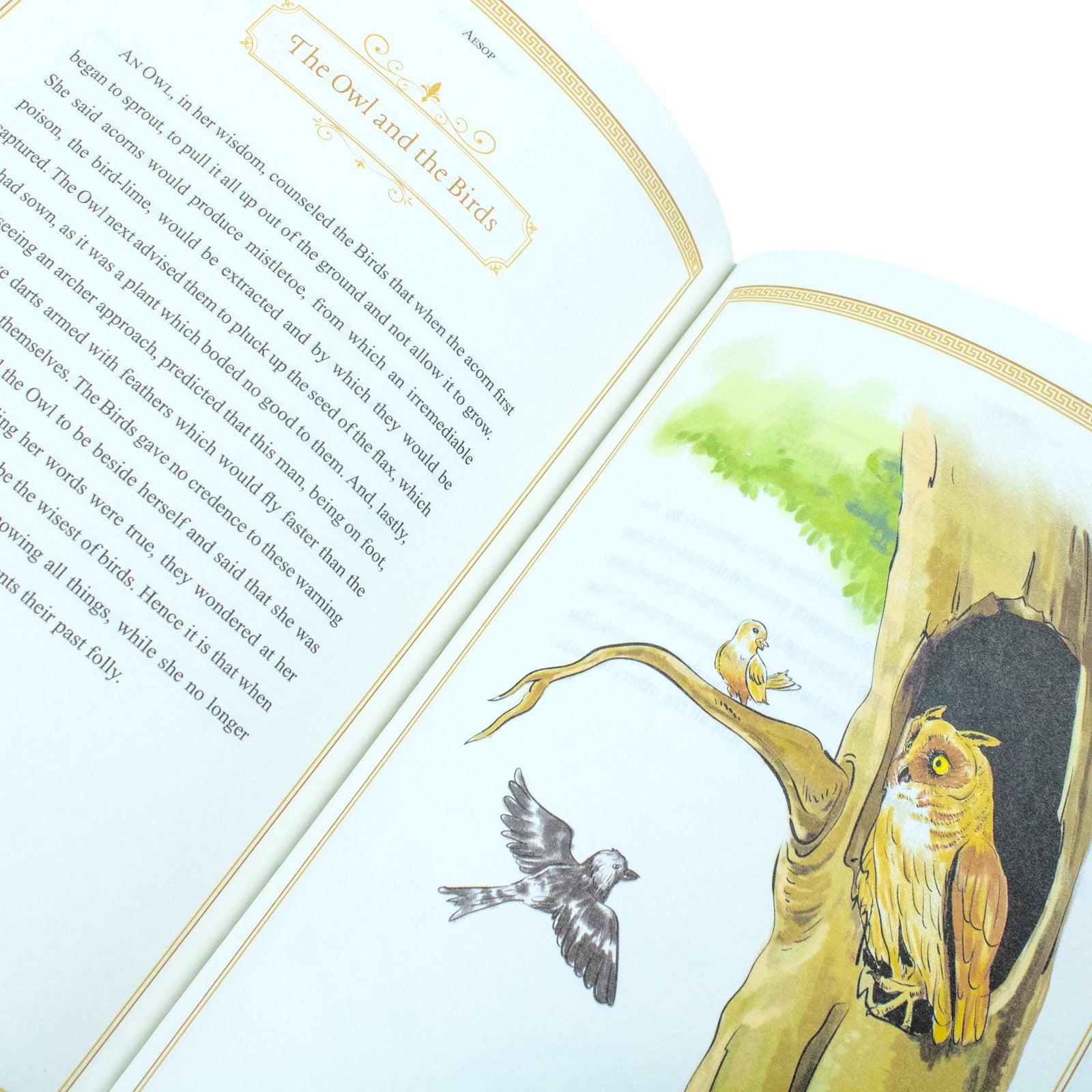 Aesops Fables (Leather Bound/Hardback Book)