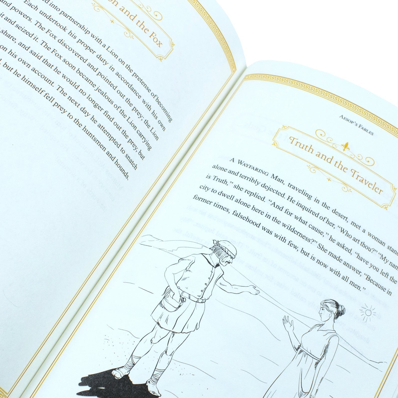 Aesops Fables (Leather Bound/Hardback Book)