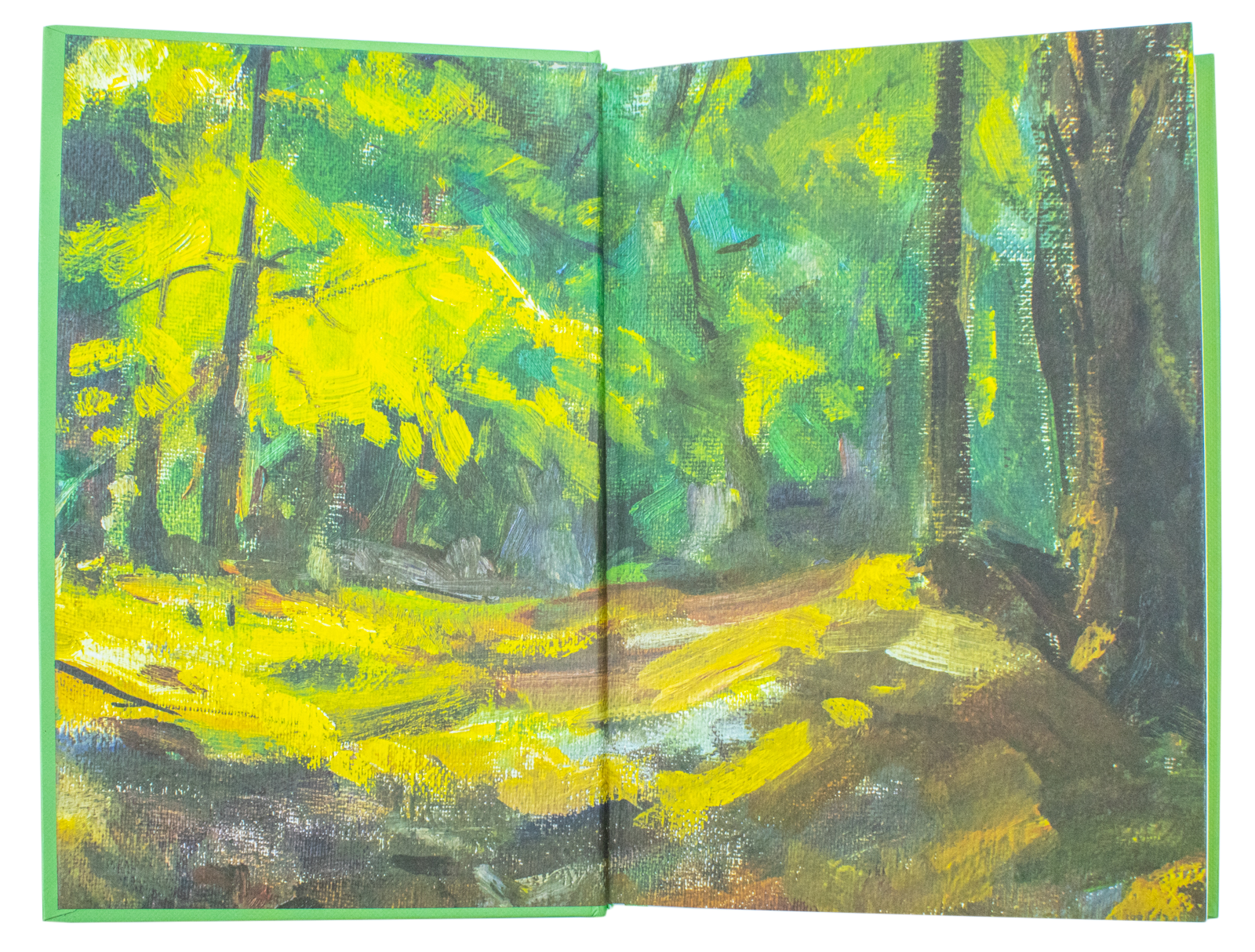 Aesops Fables Leatherbound