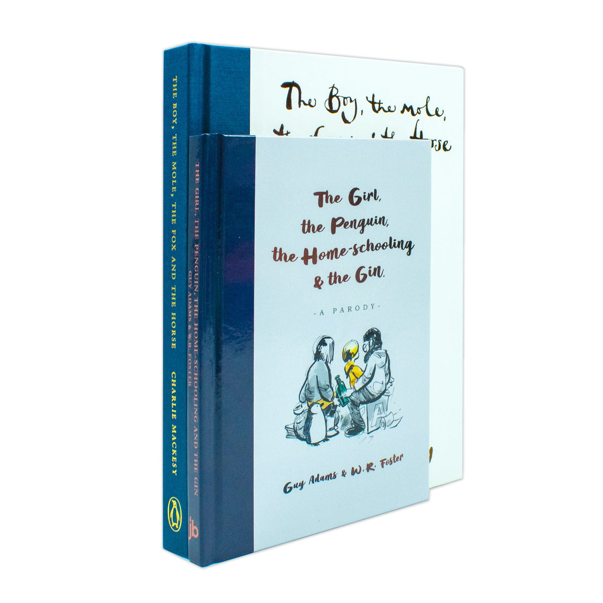 The Boy The Mole The Fox and The Horse By Charlie Mackesy & The Girl the Penguin the Home-Schooling and the Gin By Guy Adams 2 Books Collection Set