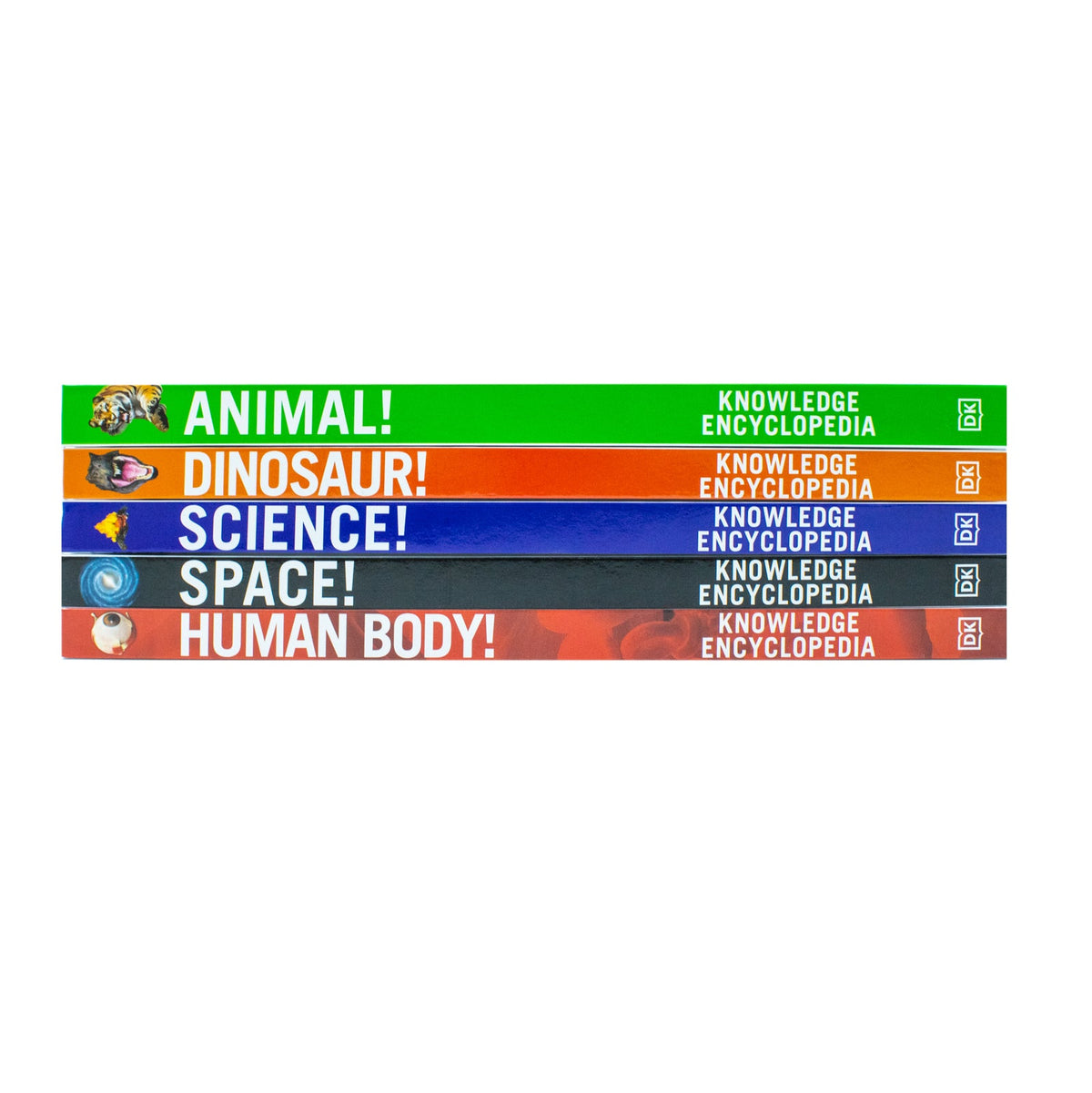 DK Knowledge Encyclopedias 5-Book Collection | Educational & fun set for kids – science, space, human body, animals, dinosaurs, STEM learning